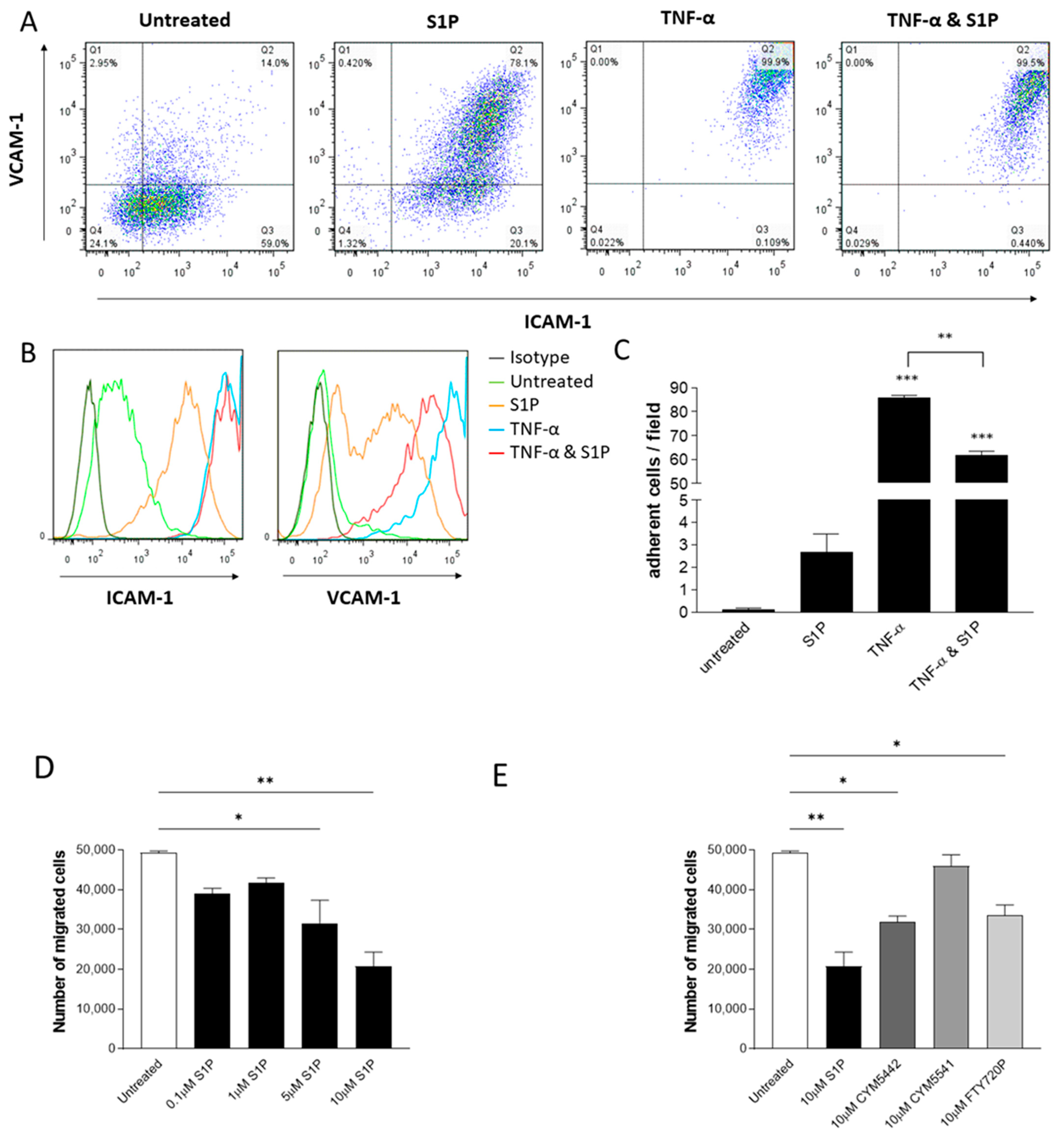 Ijms 24 11192 g006 Ijms 24 11192 g006