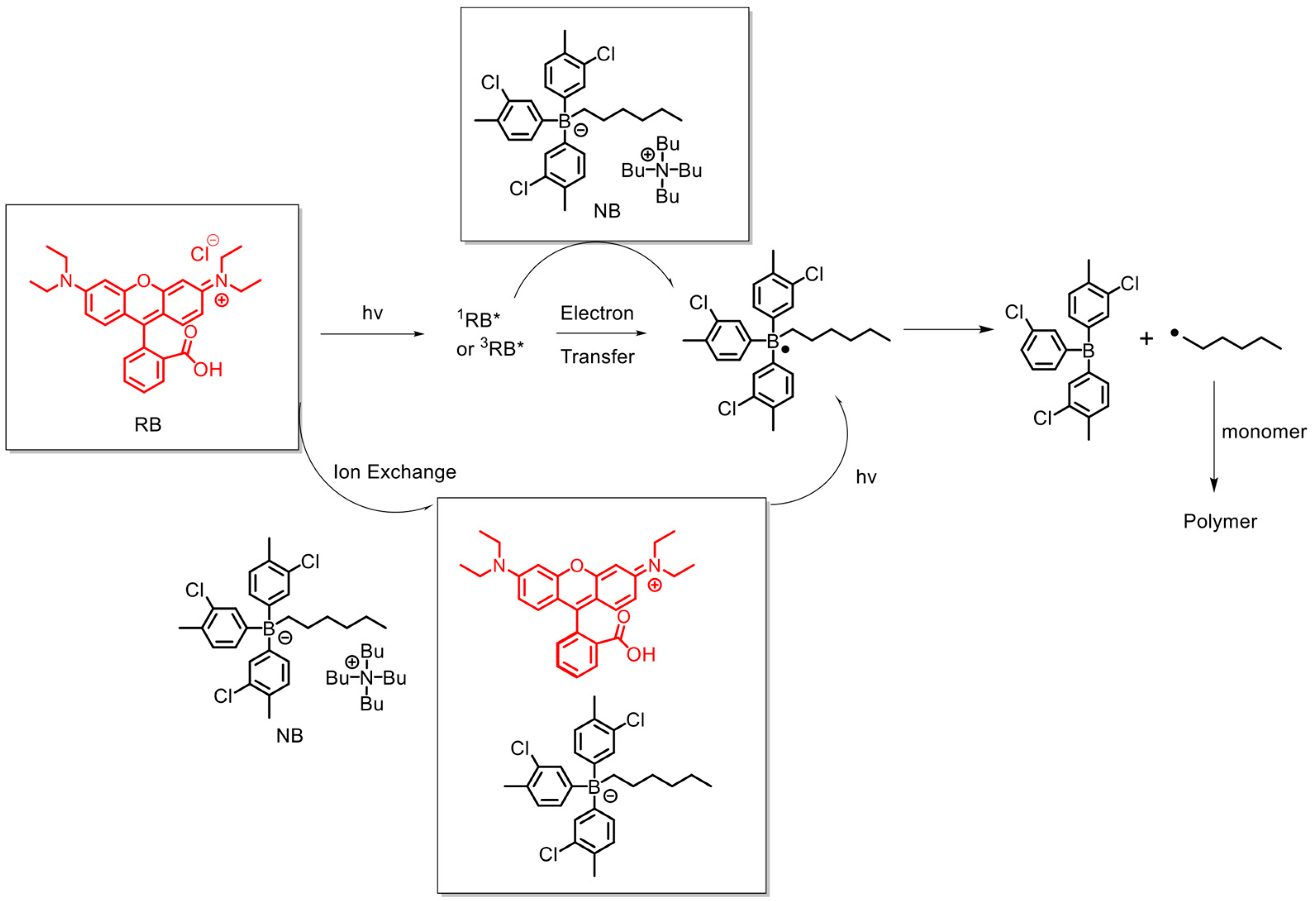 Ijms 24 11220 sch002