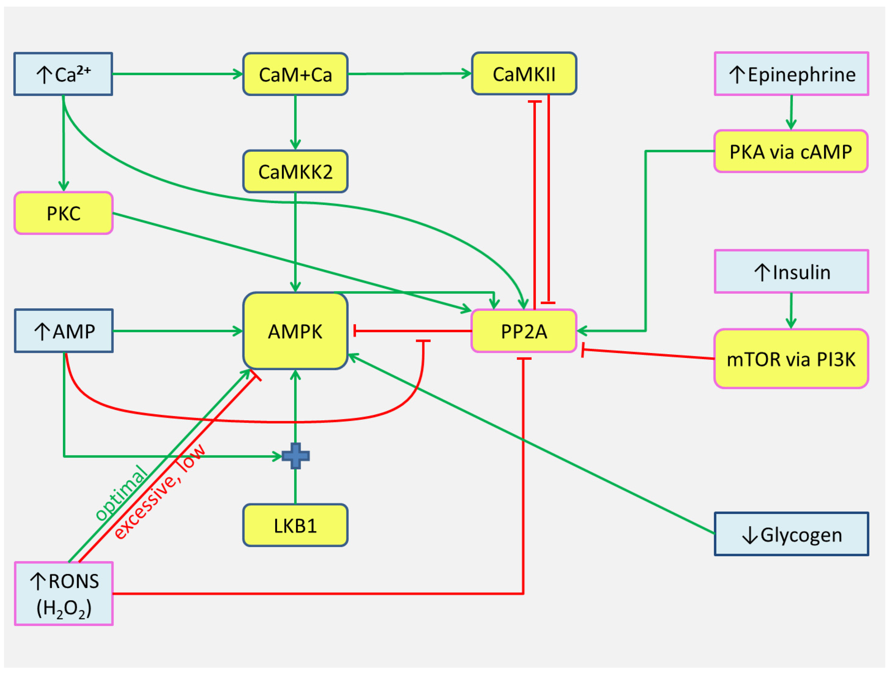 Ijms 24 11223 g010 Ijms 24 11223 g010