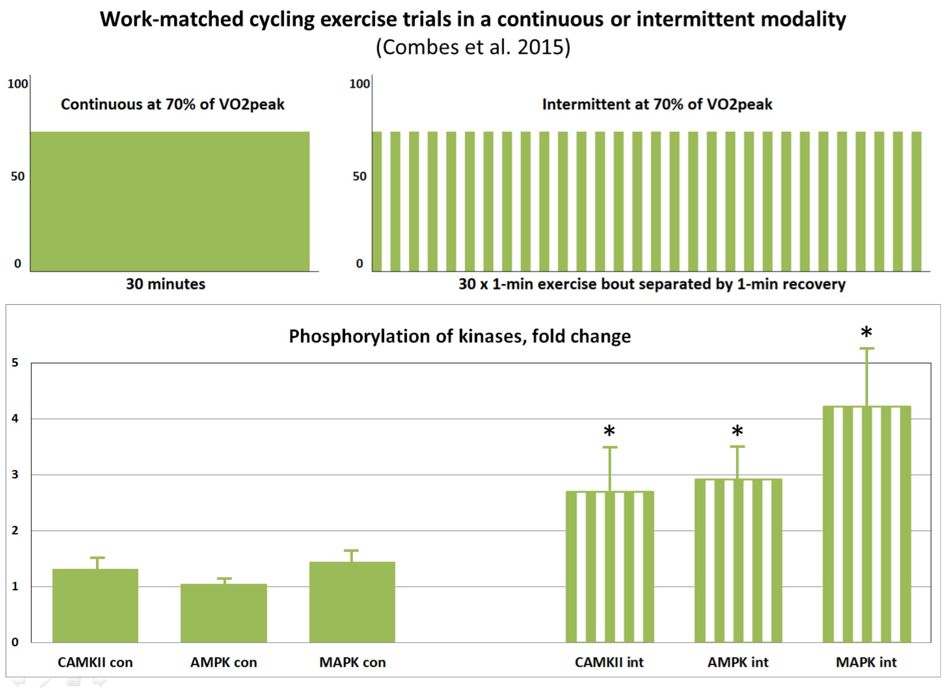 Ijms 24 11223 g011 Ijms 24 11223 g011