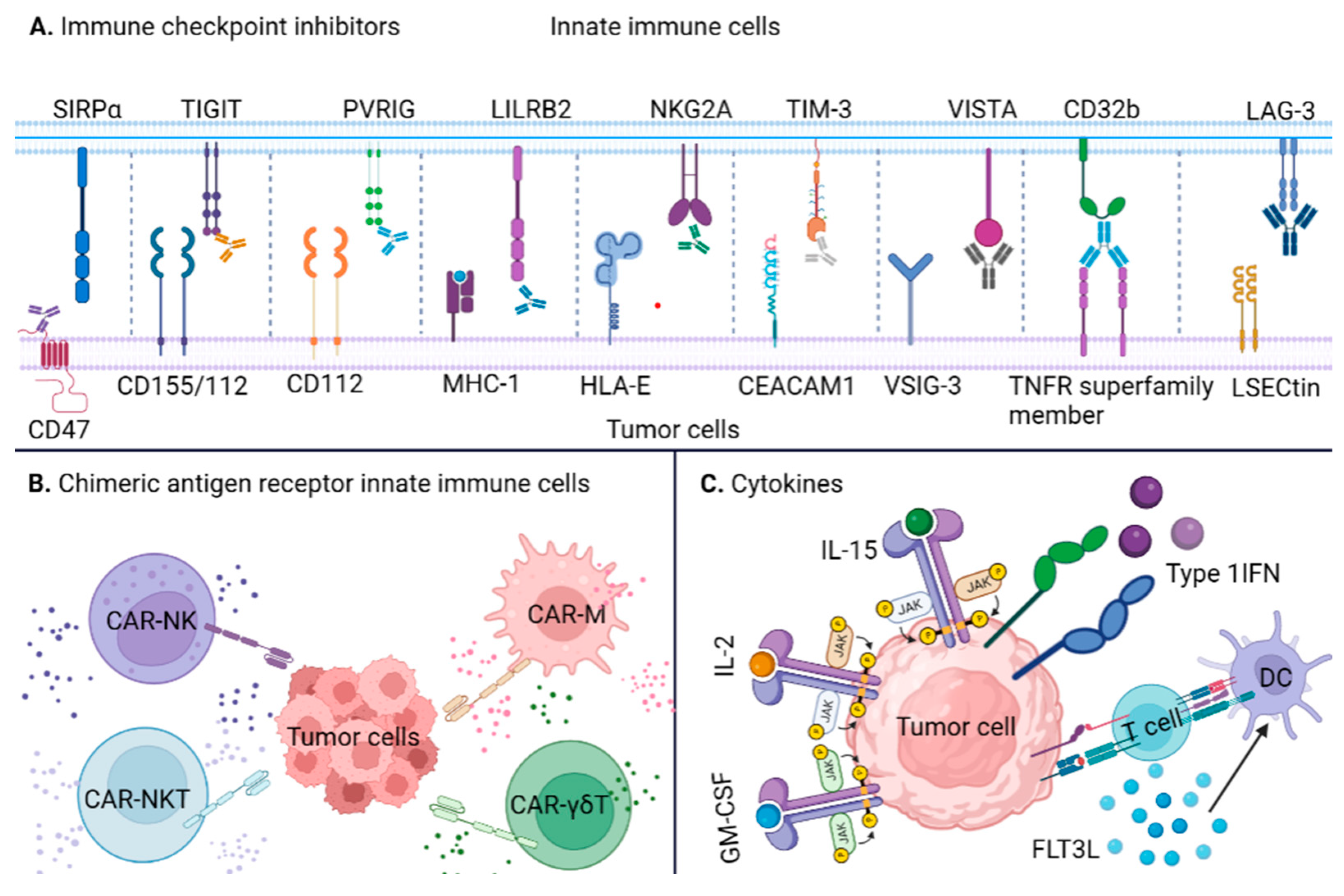 Ijms 24 11233 g002 Ijms 24 11233 g002