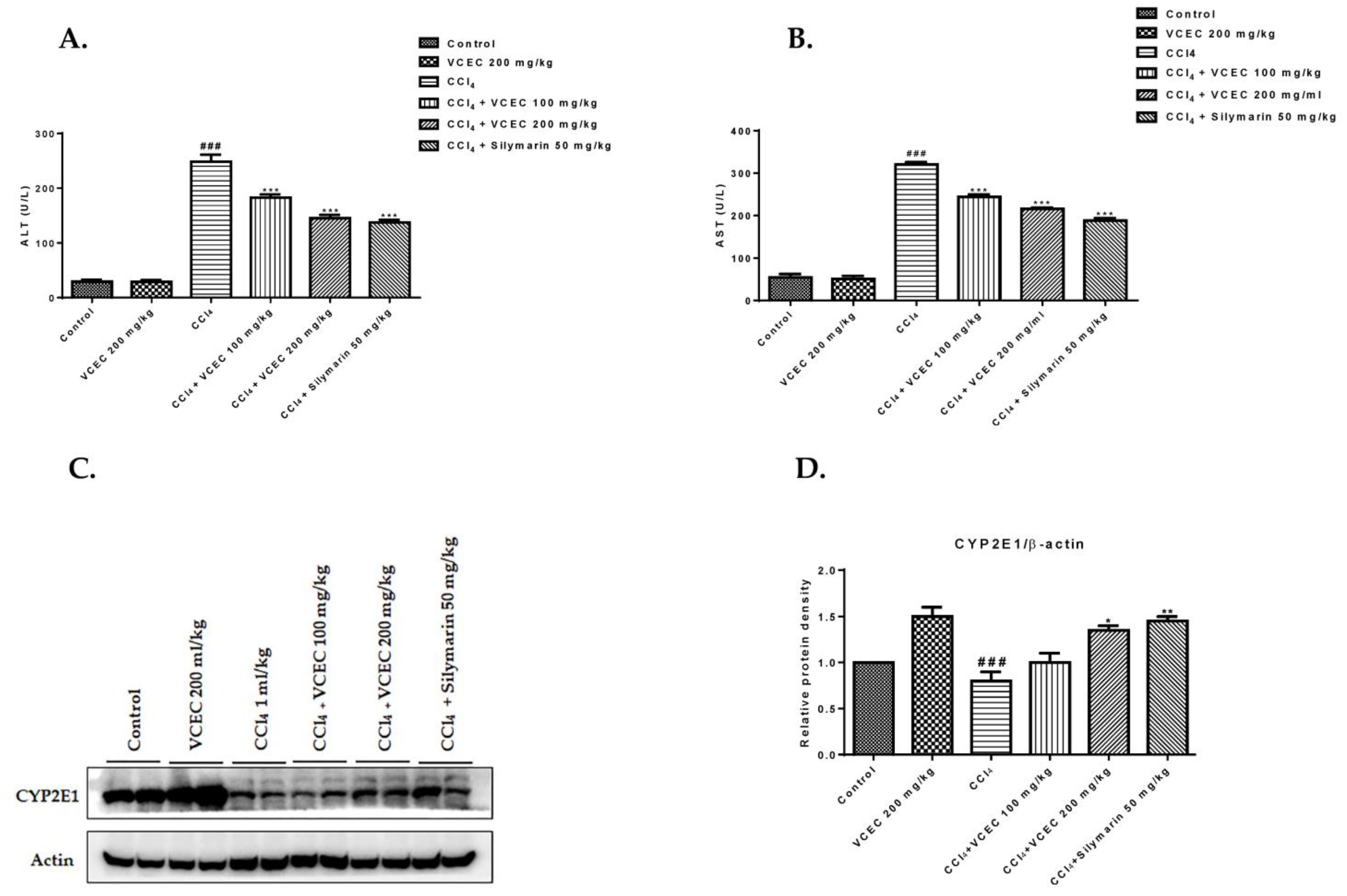 Ijms 24 11255 g002 Ijms 24 11255 g002