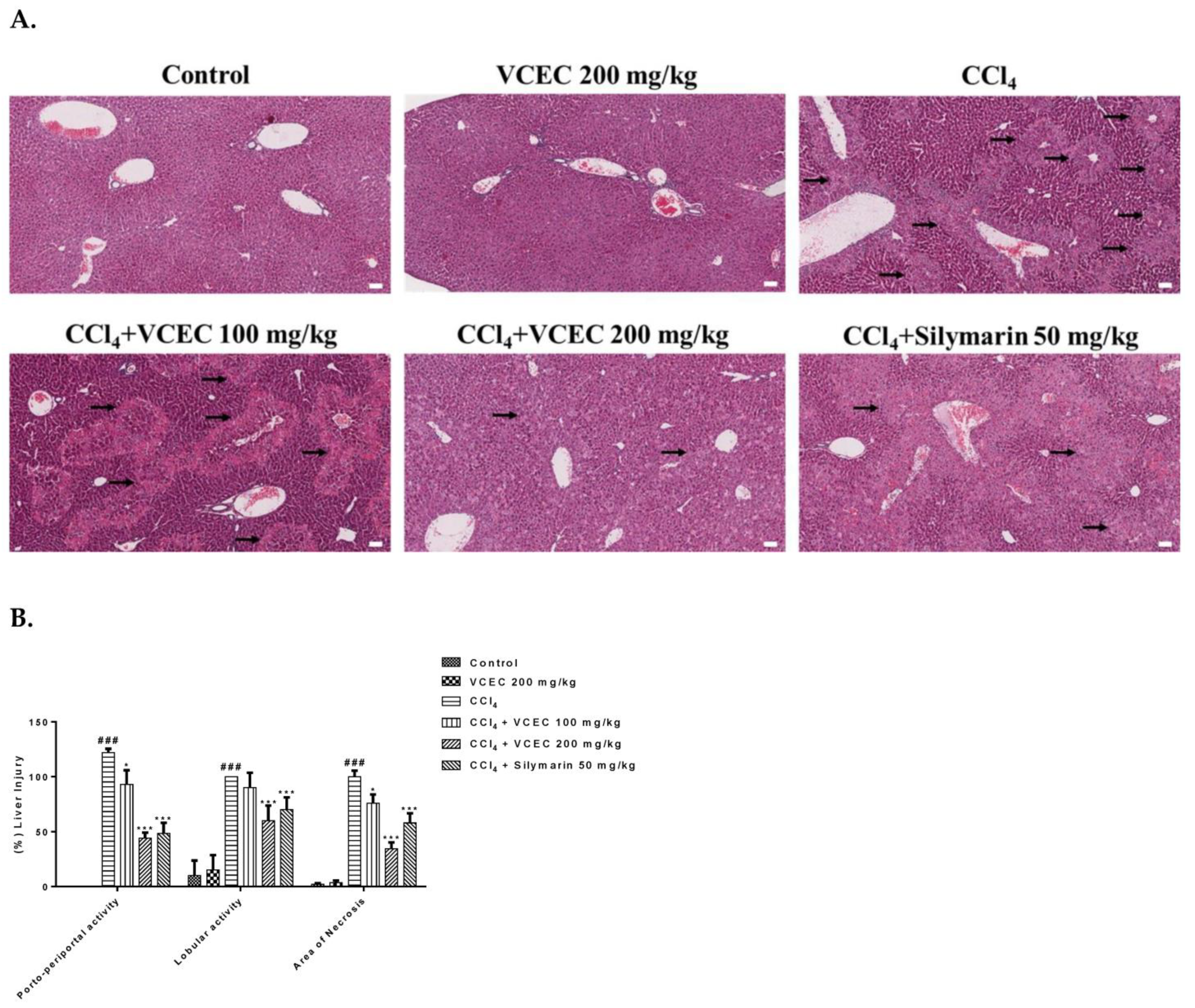 Ijms 24 11255 g003 Ijms 24 11255 g003