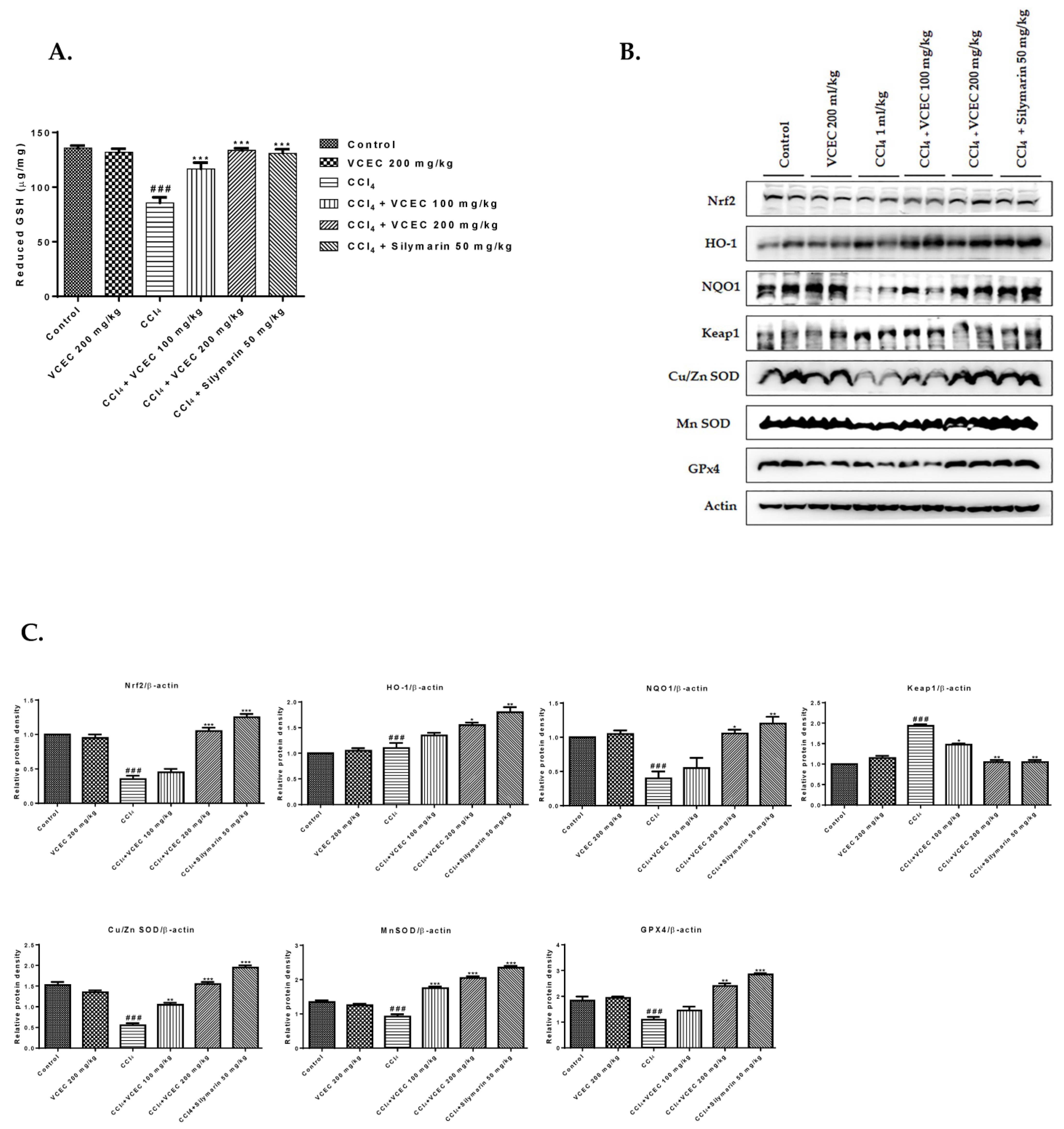 Ijms 24 11255 g004 Ijms 24 11255 g004