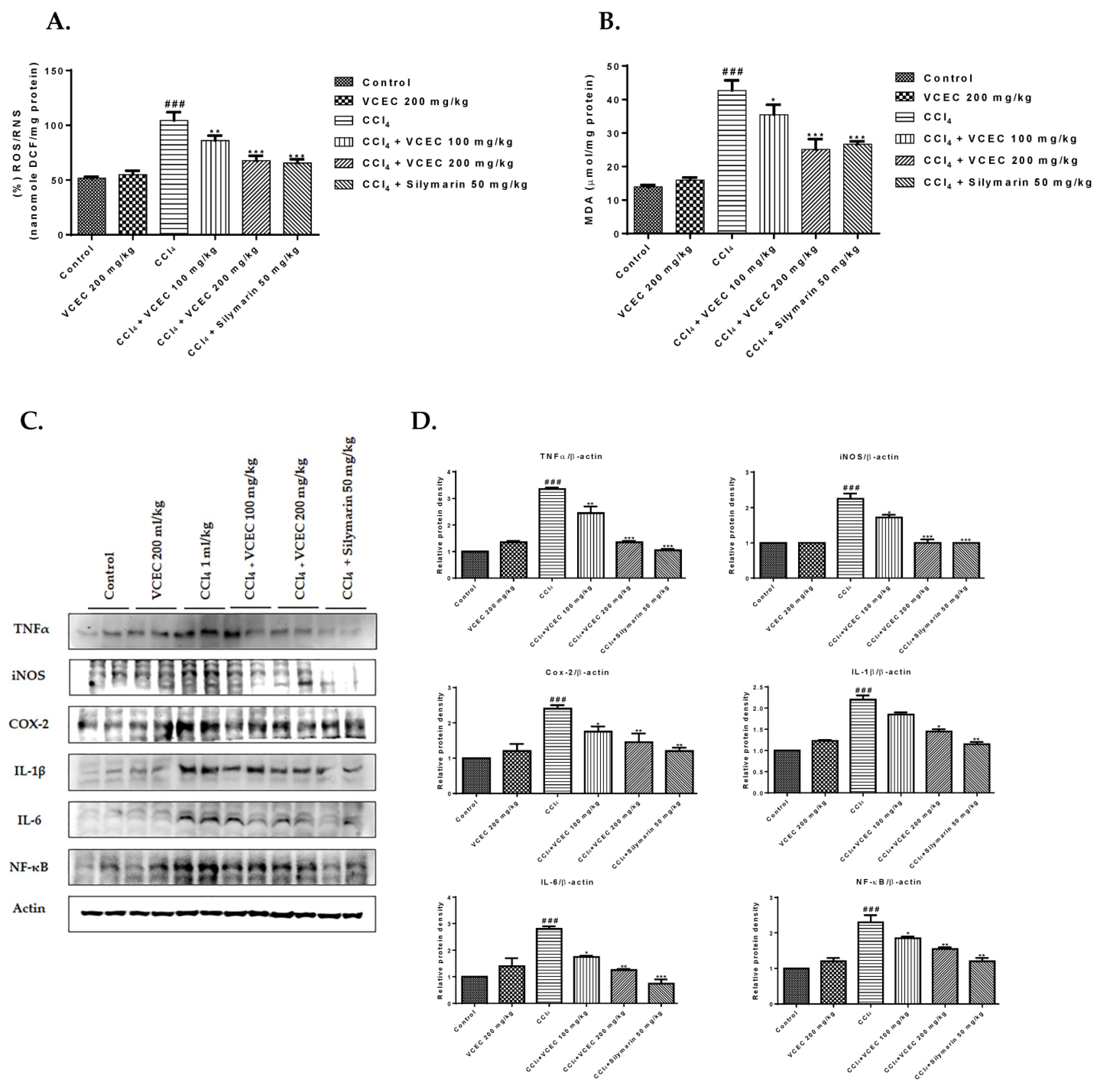 Ijms 24 11255 g005 Ijms 24 11255 g005