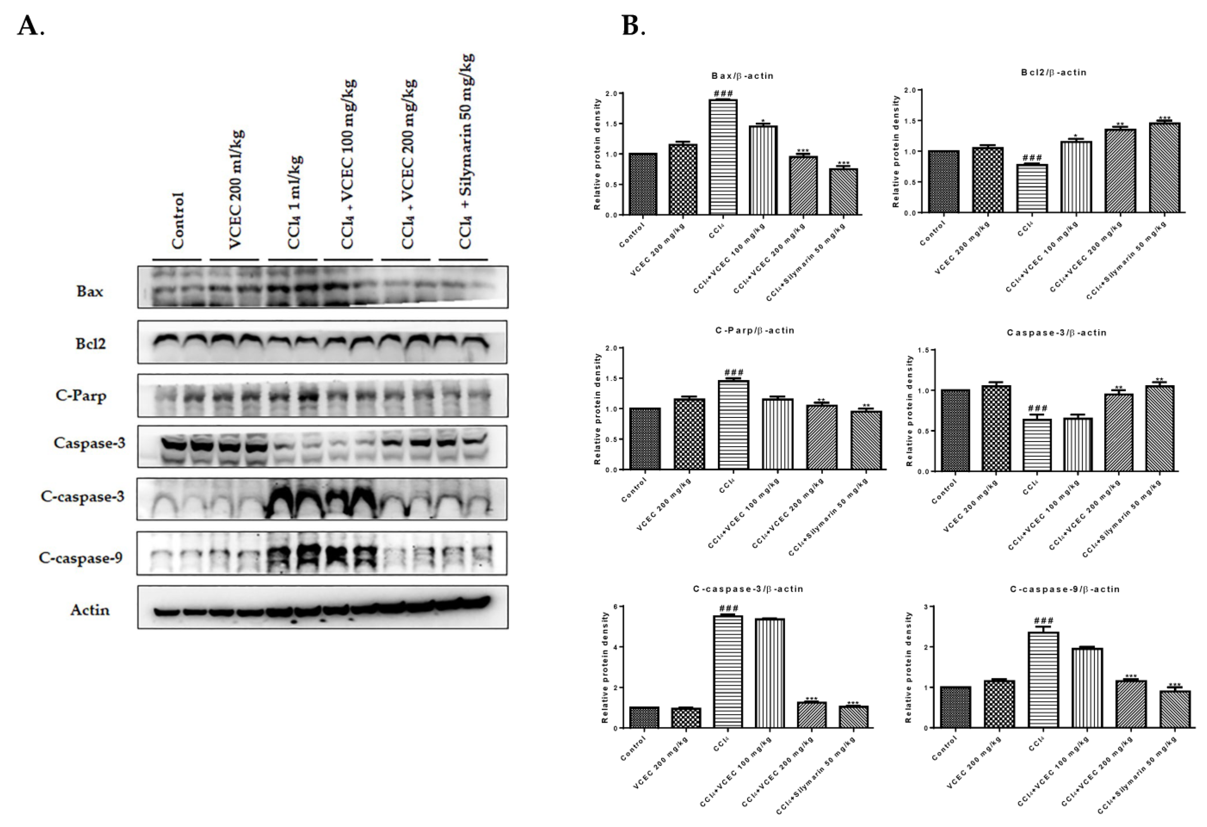 Ijms 24 11255 g006 Ijms 24 11255 g006