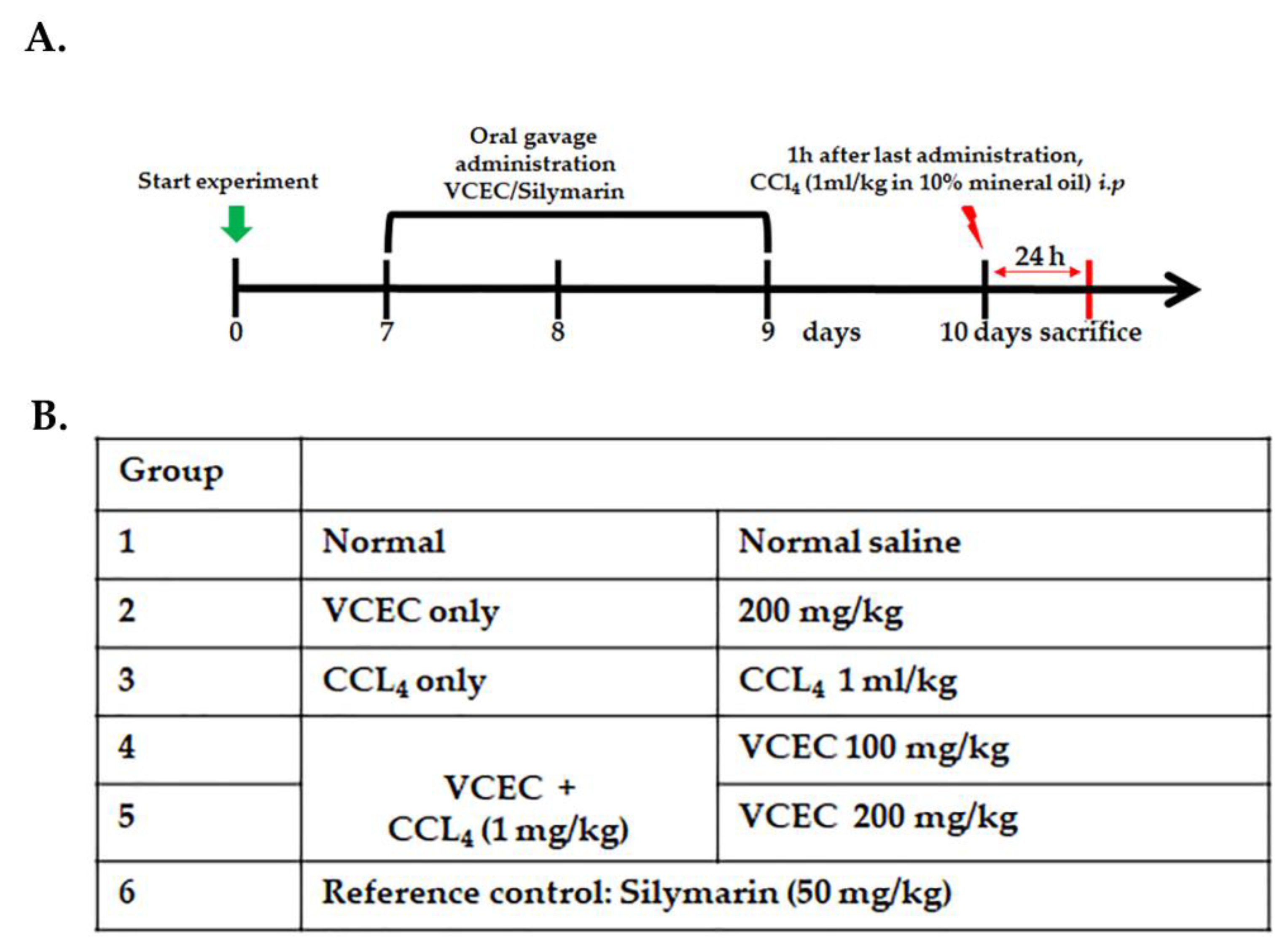 Ijms 24 11255 g007 Ijms 24 11255 g007