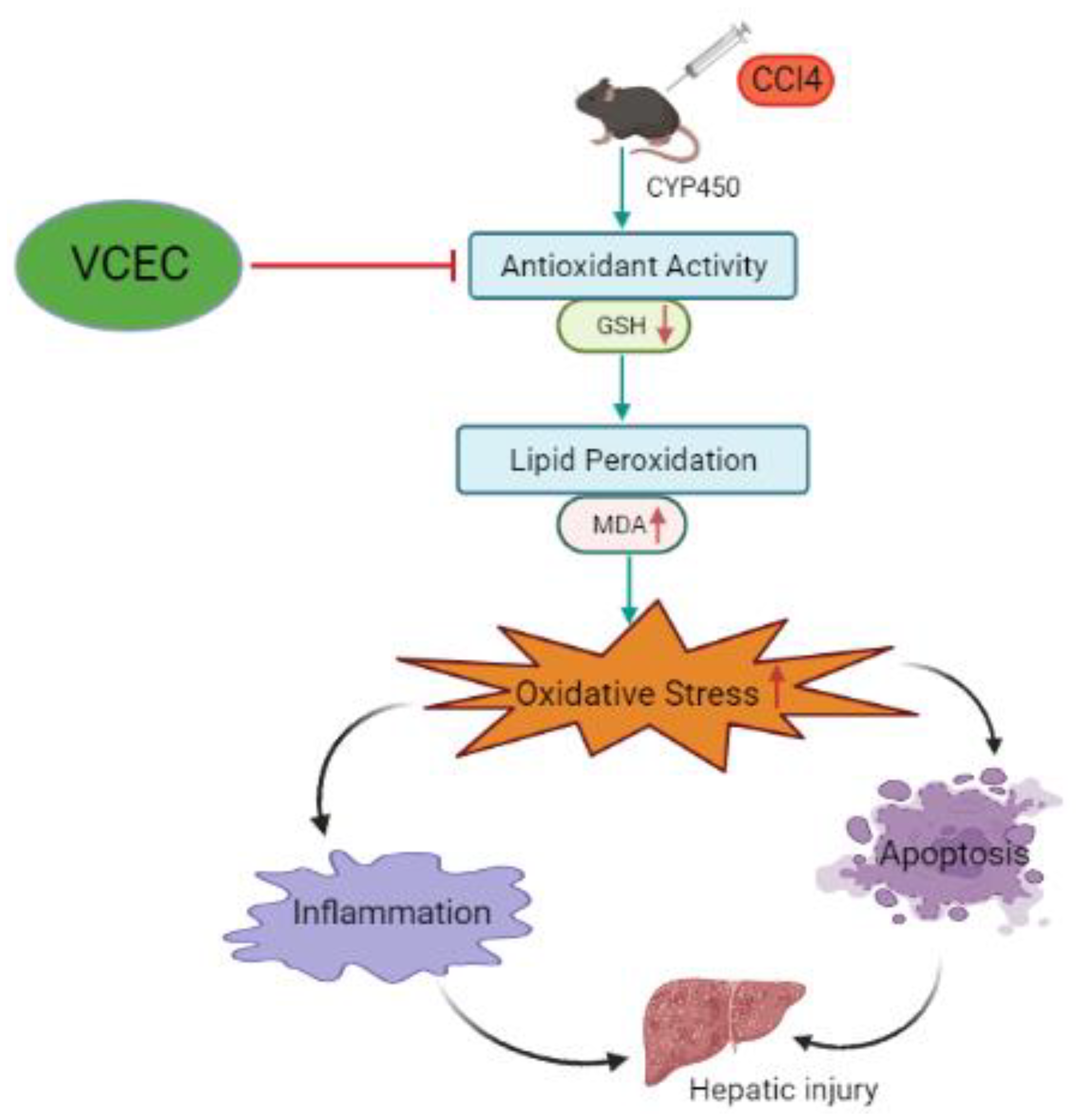 Ijms 24 11255 g008 Ijms 24 11255 g008