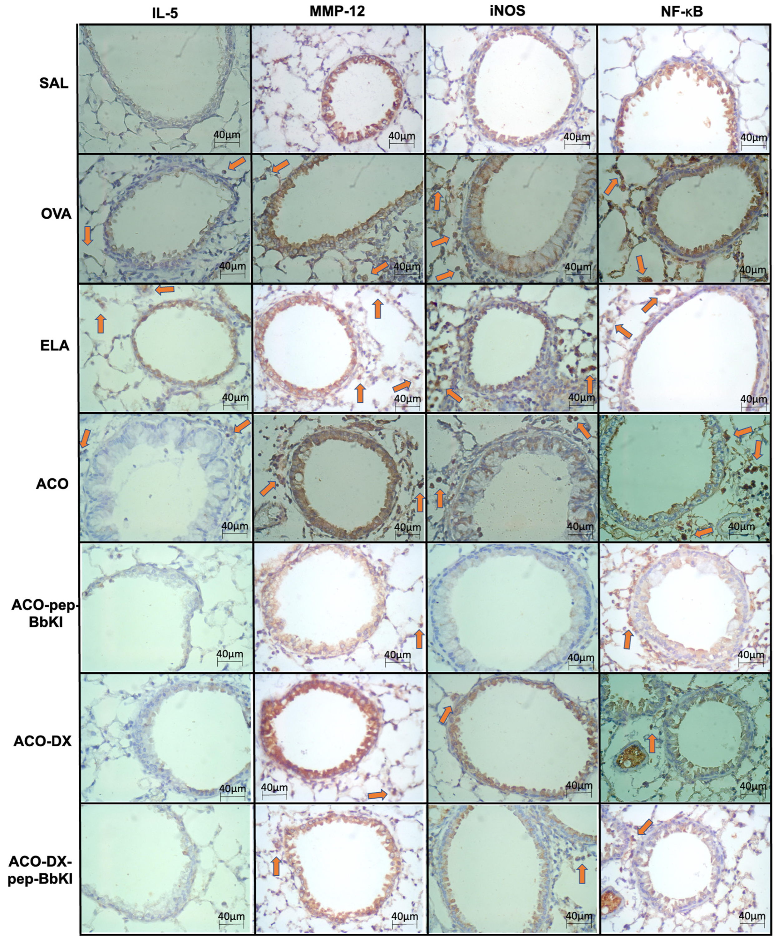 Ijms 24 11261 g005 Ijms 24 11261 g005