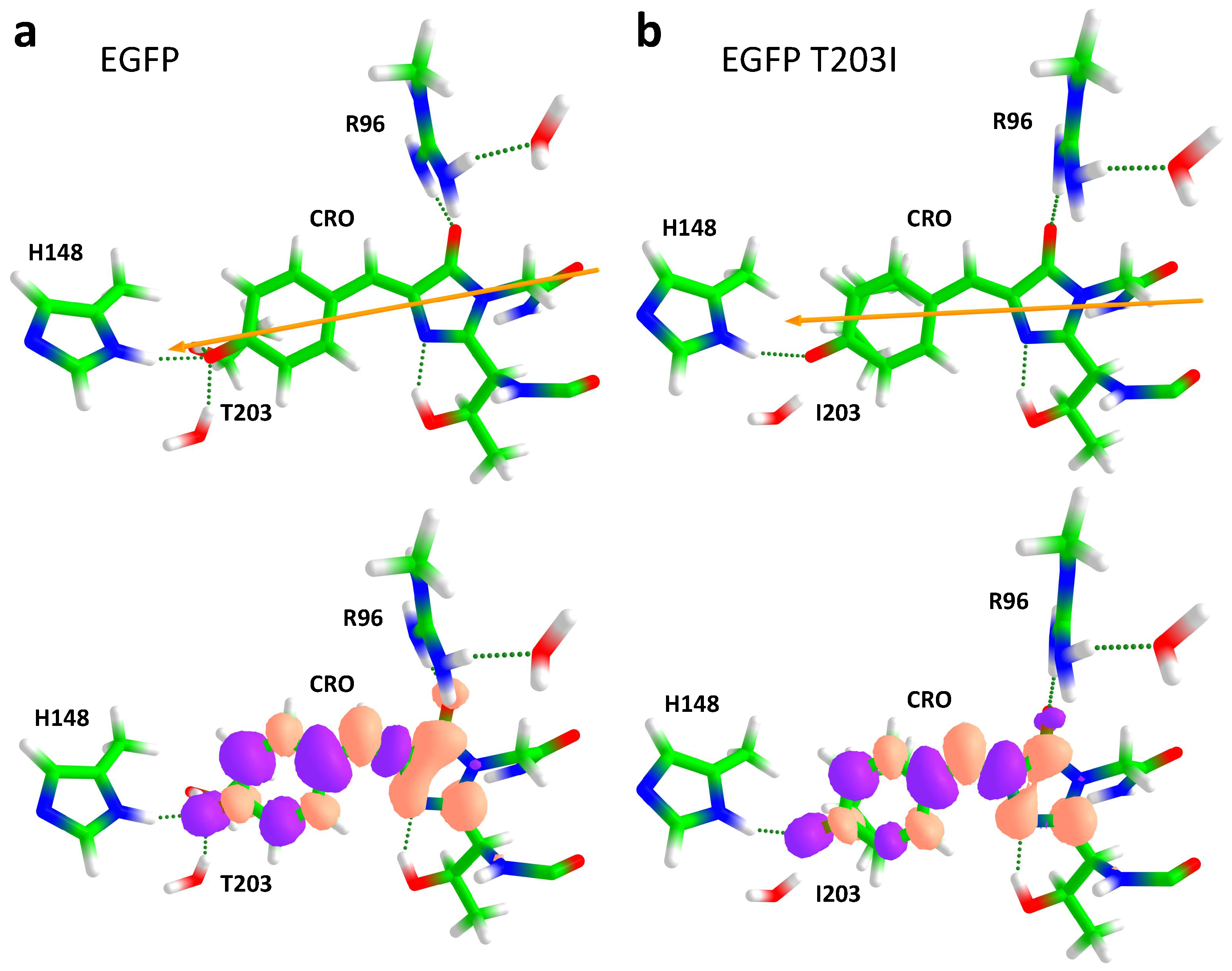 Ijms 24 11266 g005 Ijms 24 11266 g005