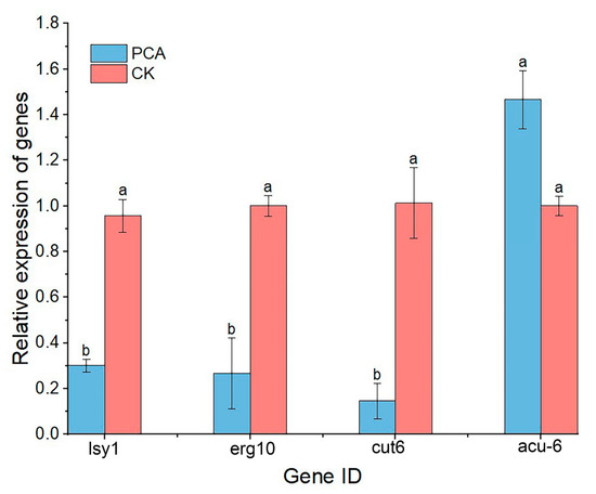 IJMS | Free Full-Text | Antifungal Mechanism of Phenazine-1 