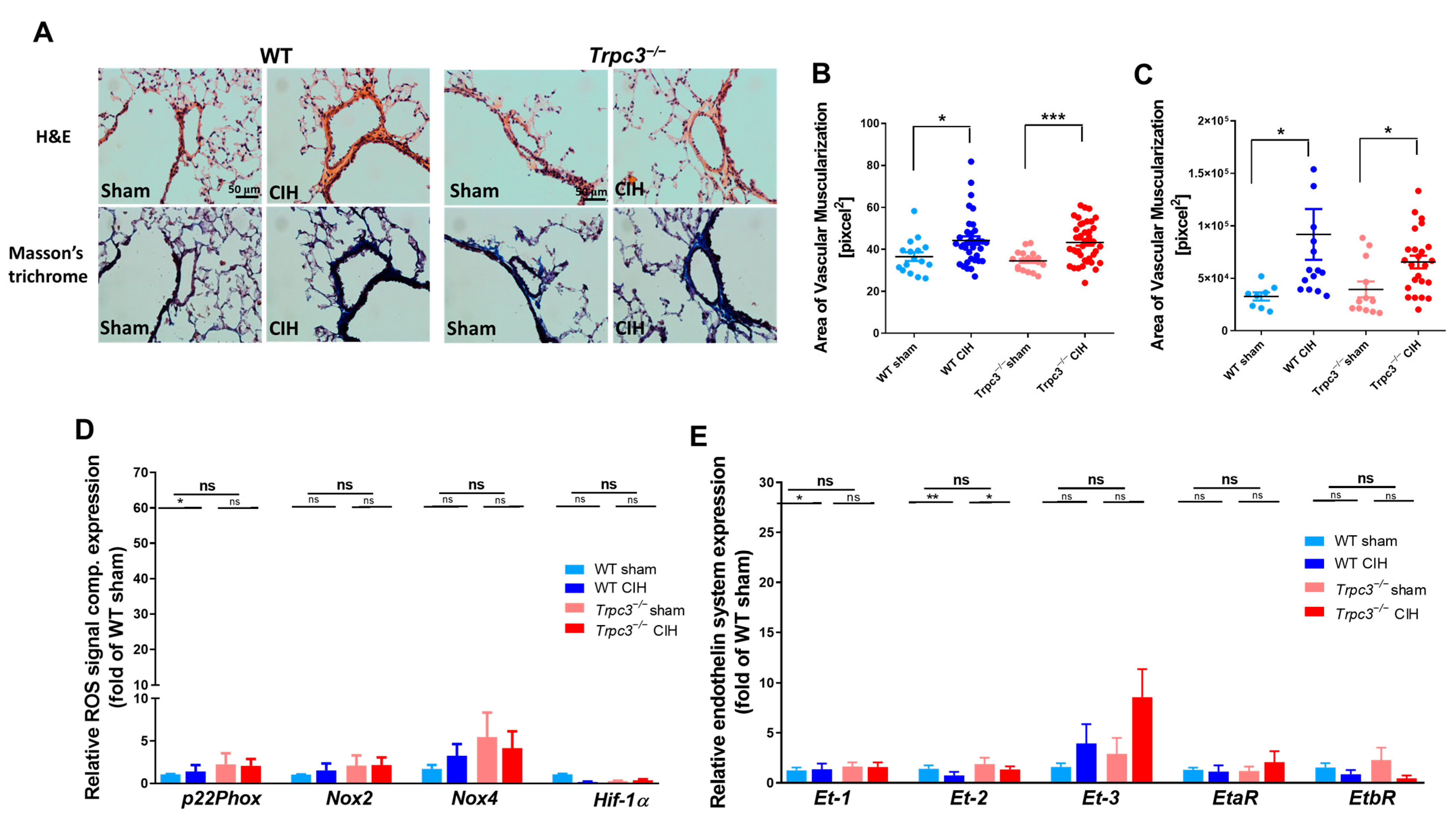 Ijms 24 11284 g003 Ijms 24 11284 g003