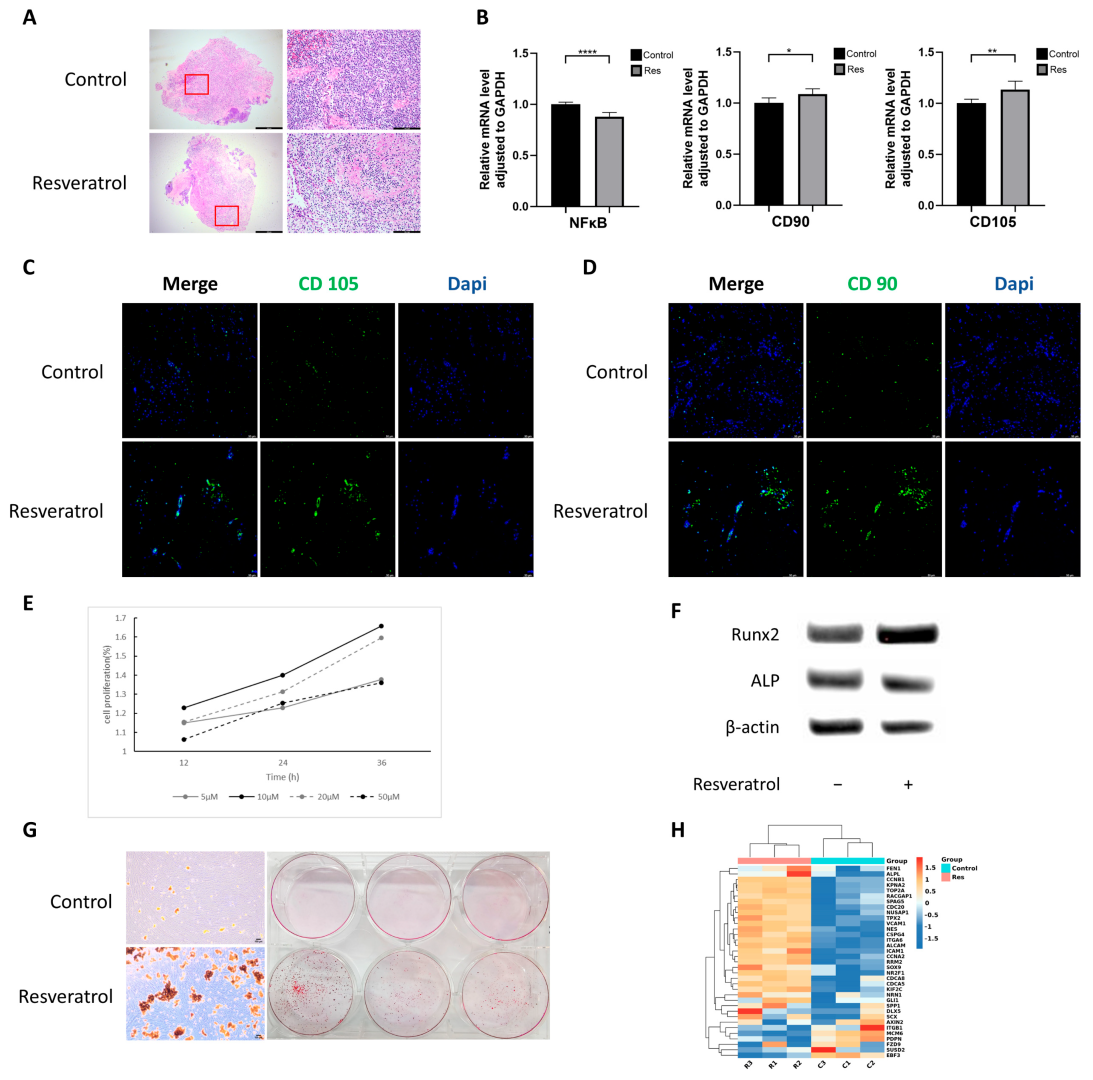 Ijms 24 11294 g001 Ijms 24 11294 g001