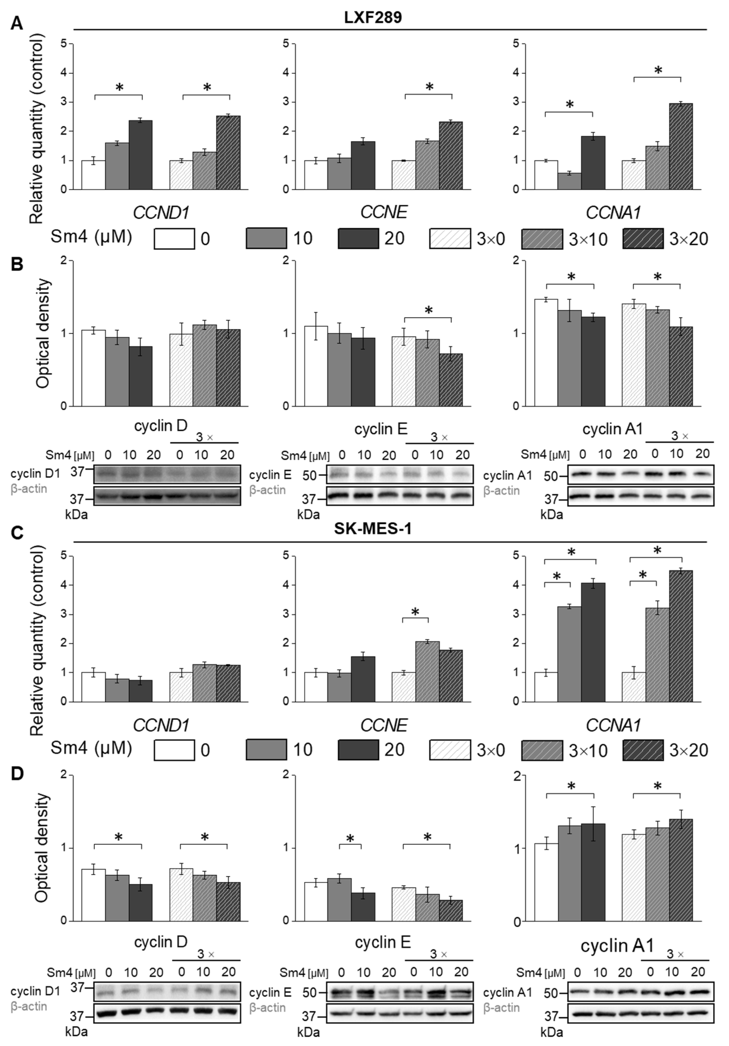Ijms 24 11316 g004 Ijms 24 11316 g004