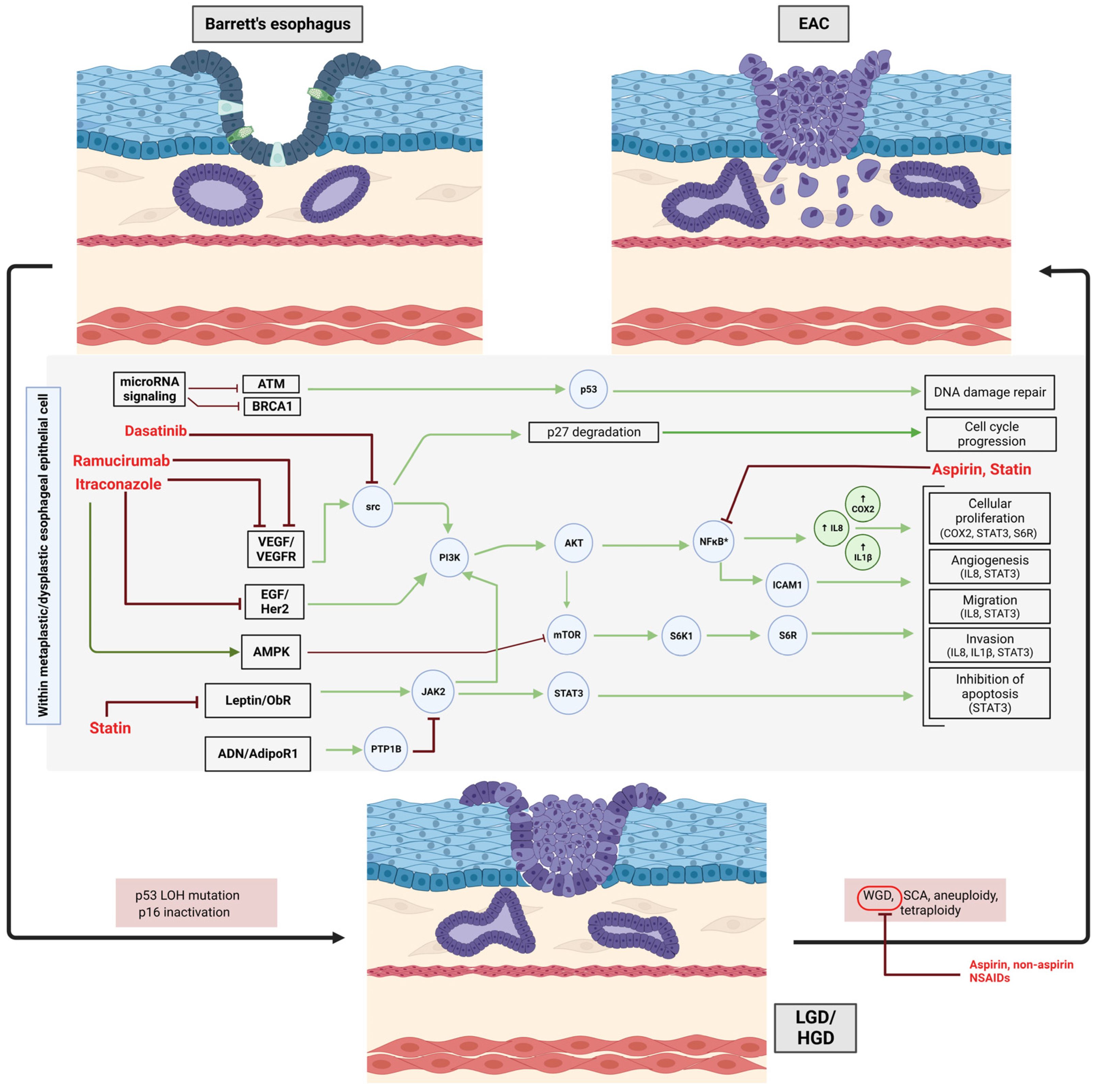 Ijms 24 11318 g002 Ijms 24 11318 g002