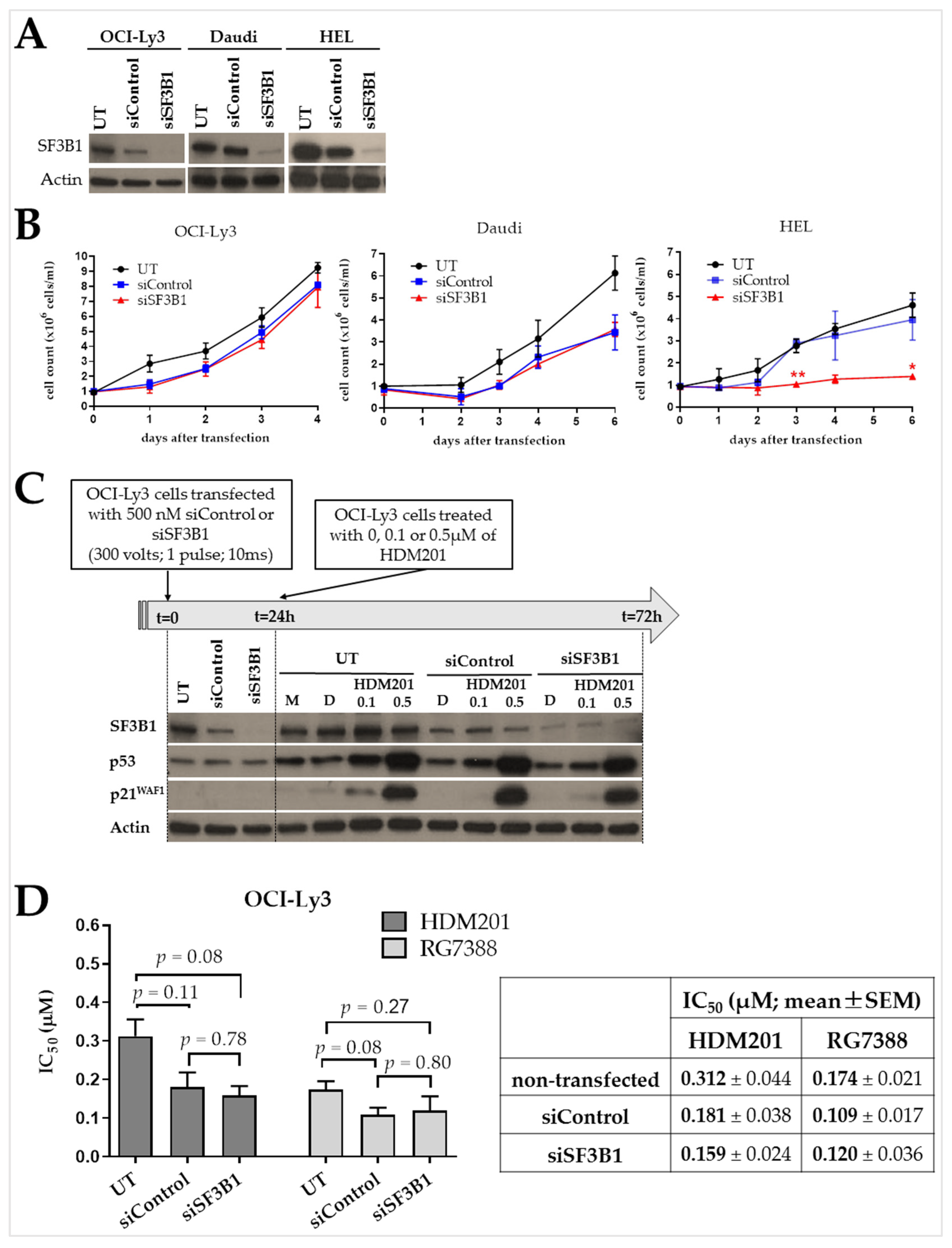 Ijms 24 11335 g006 Ijms 24 11335 g006