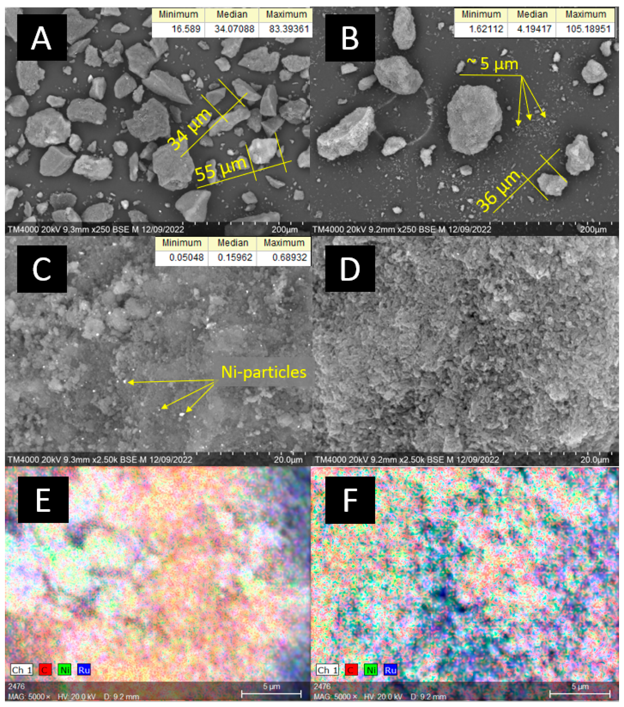 Ijms 24 11337 g001 Ijms 24 11337 g001