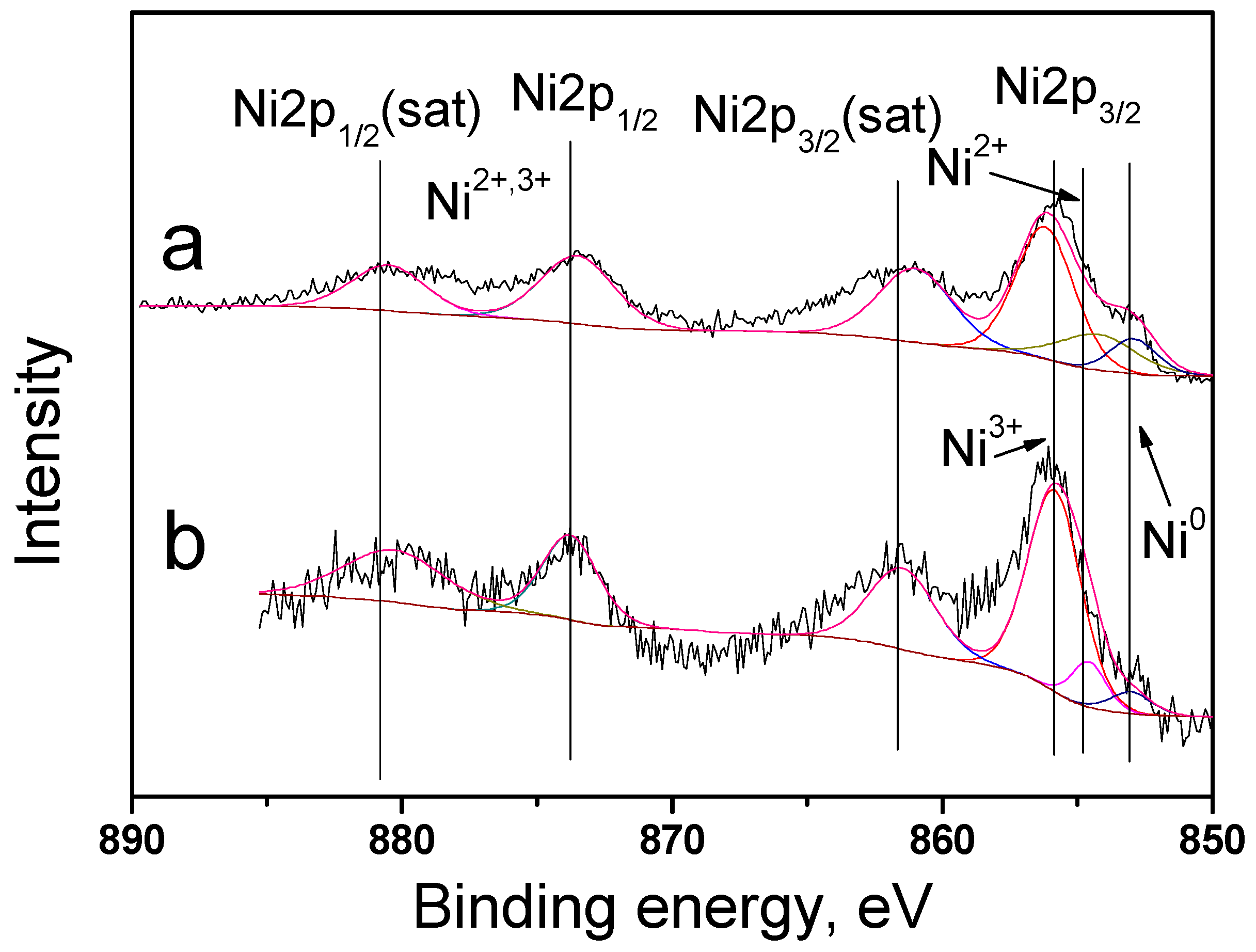 Ijms 24 11337 g004 Ijms 24 11337 g004