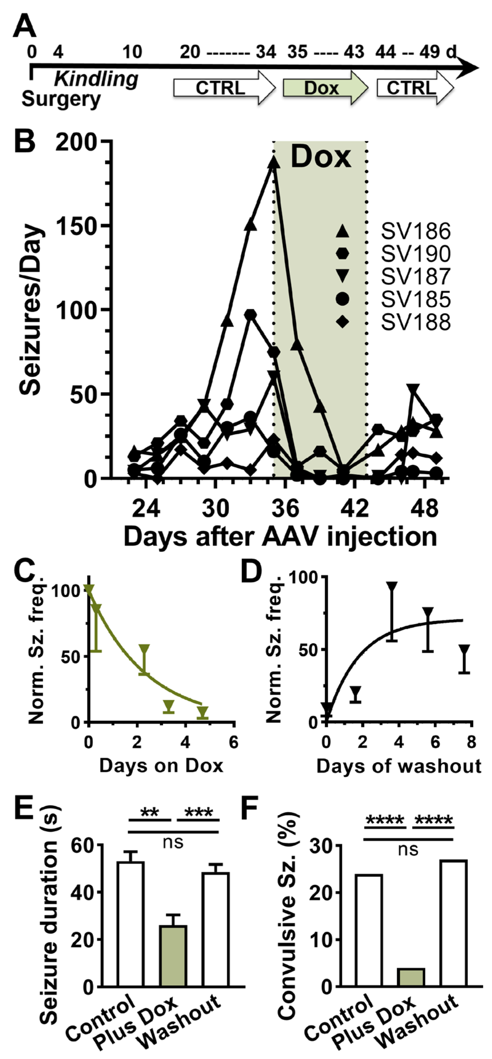 Ijms 24 11347 g002 Ijms 24 11347 g002