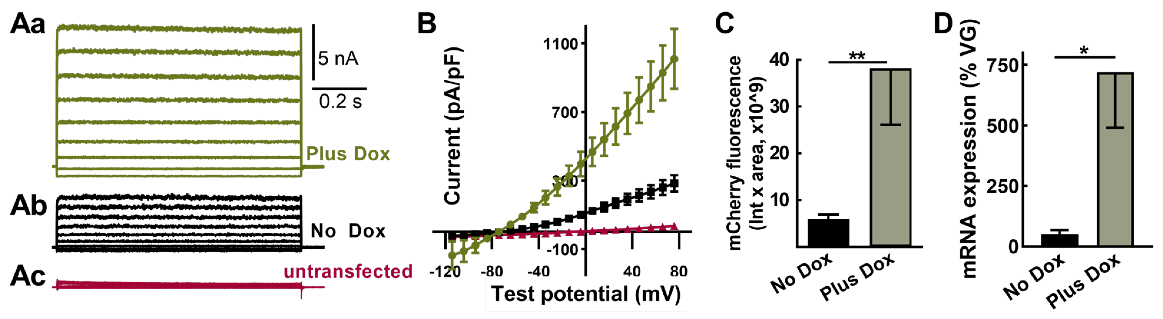 Ijms 24 11347 g004 Ijms 24 11347 g004