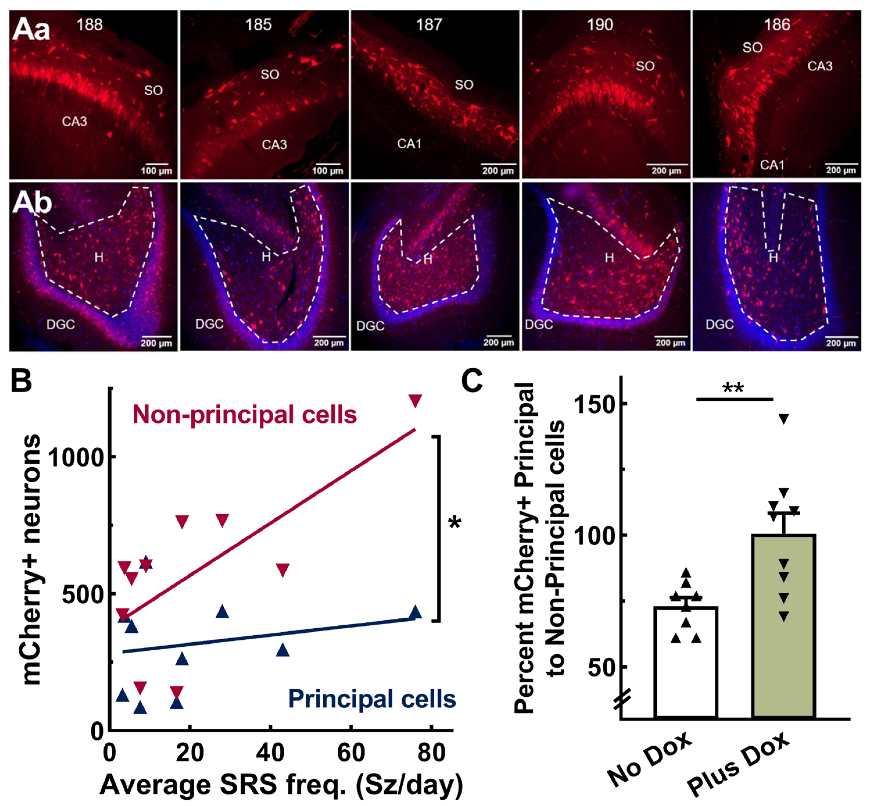 Ijms 24 11347 g005 Ijms 24 11347 g005