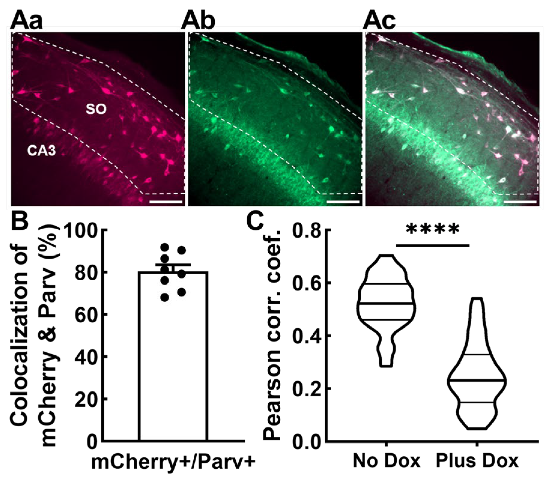 Ijms 24 11347 g006 Ijms 24 11347 g006