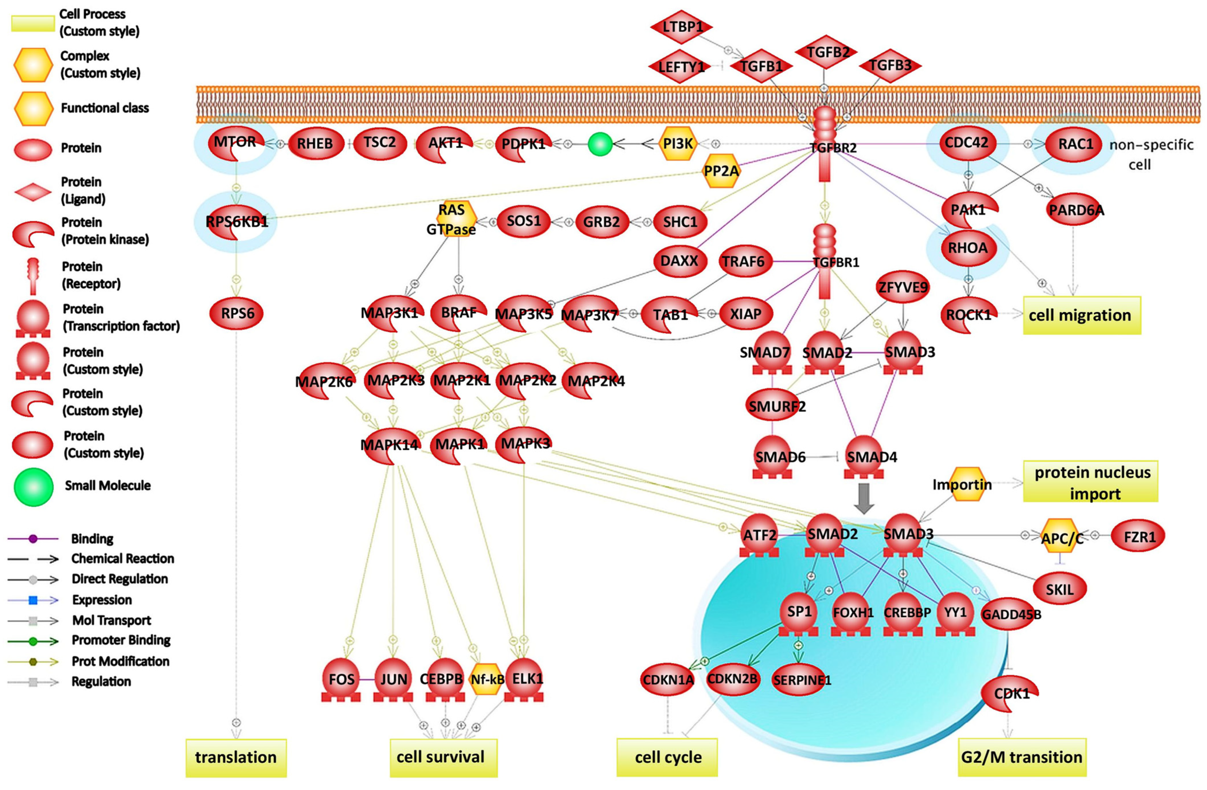 Ijms 24 11352 g001 Ijms 24 11352 g001