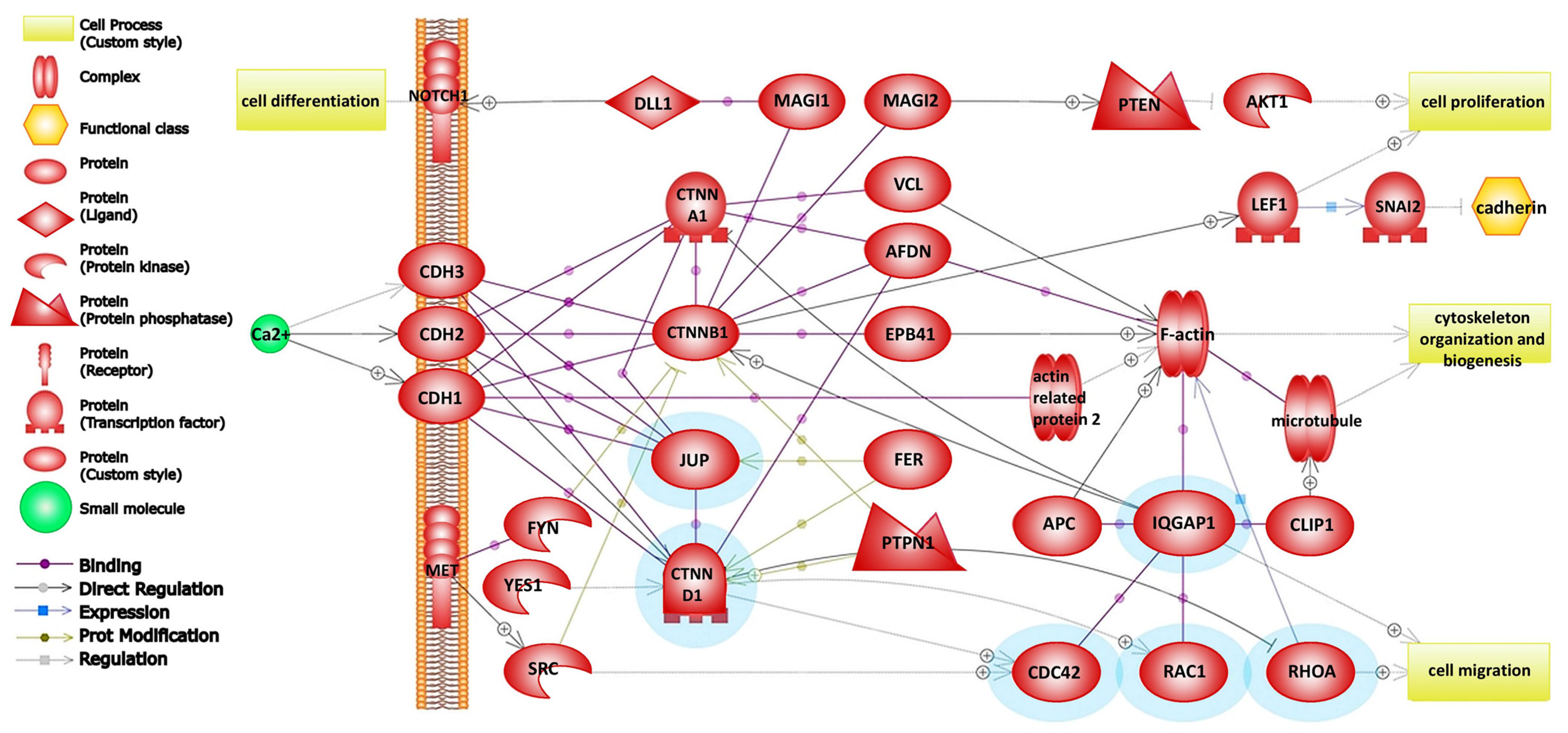 Ijms 24 11352 g002 Ijms 24 11352 g002