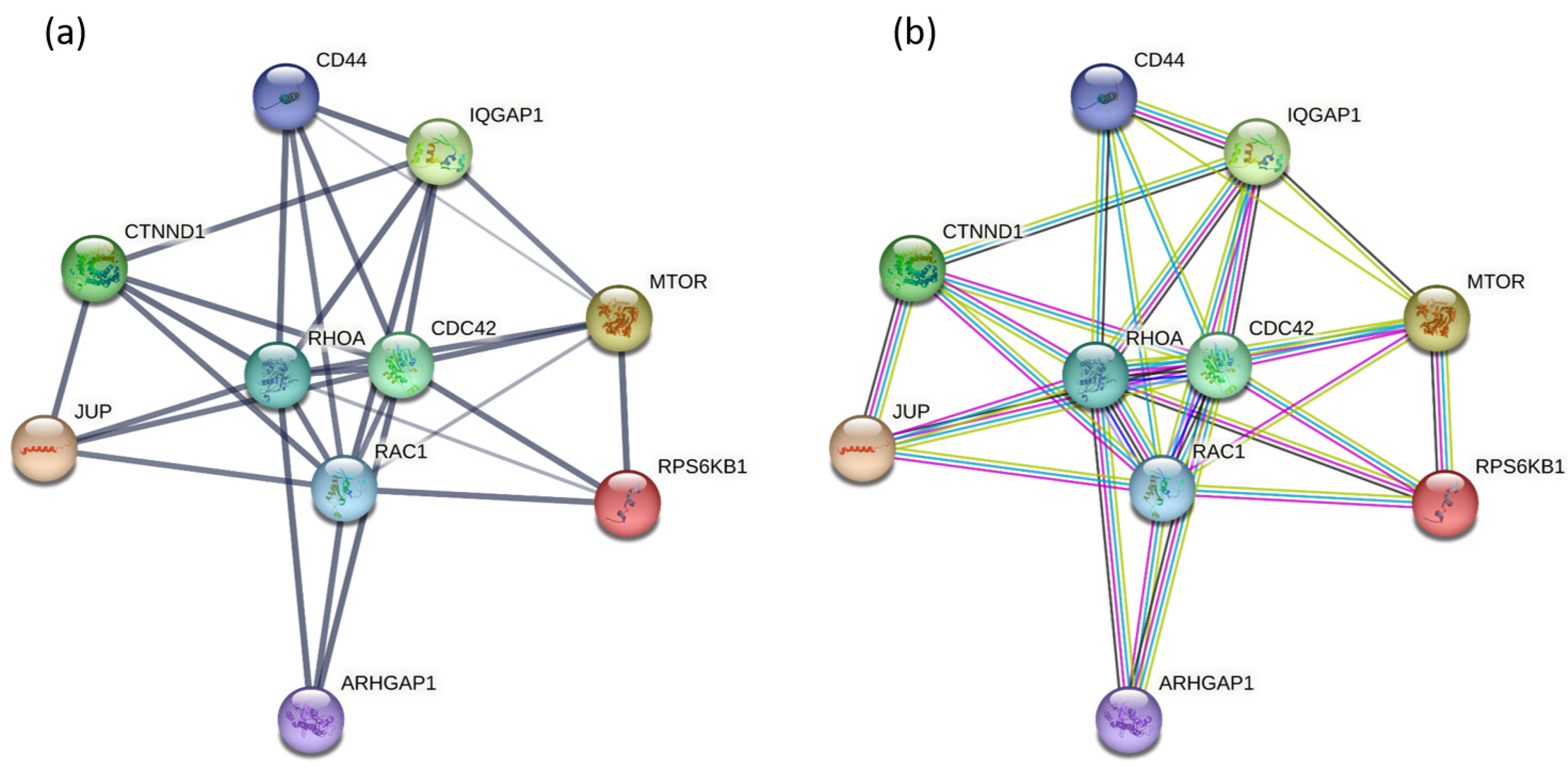 Ijms 24 11352 g005 Ijms 24 11352 g005