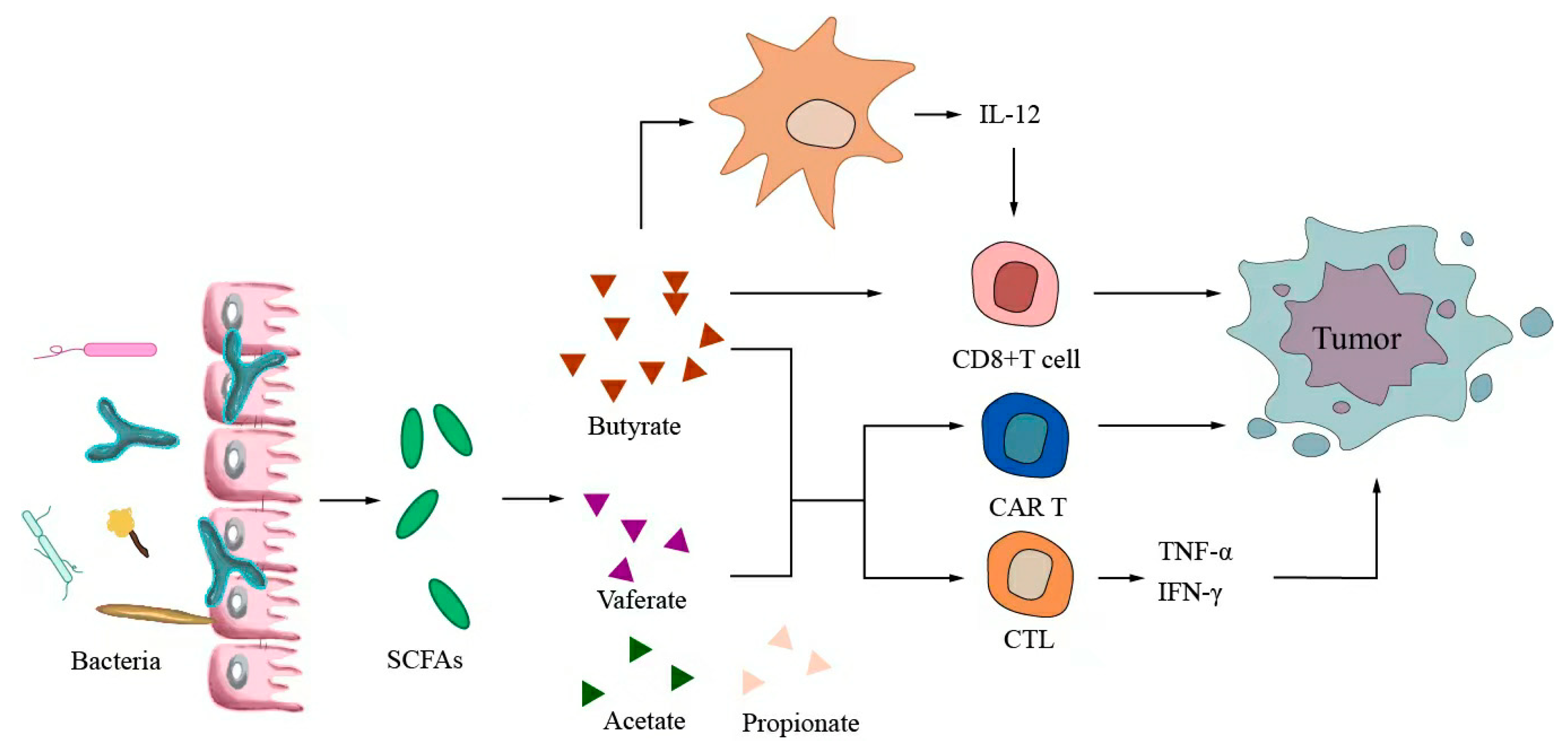 Ijms 24 11387 g005 Ijms 24 11387 g005