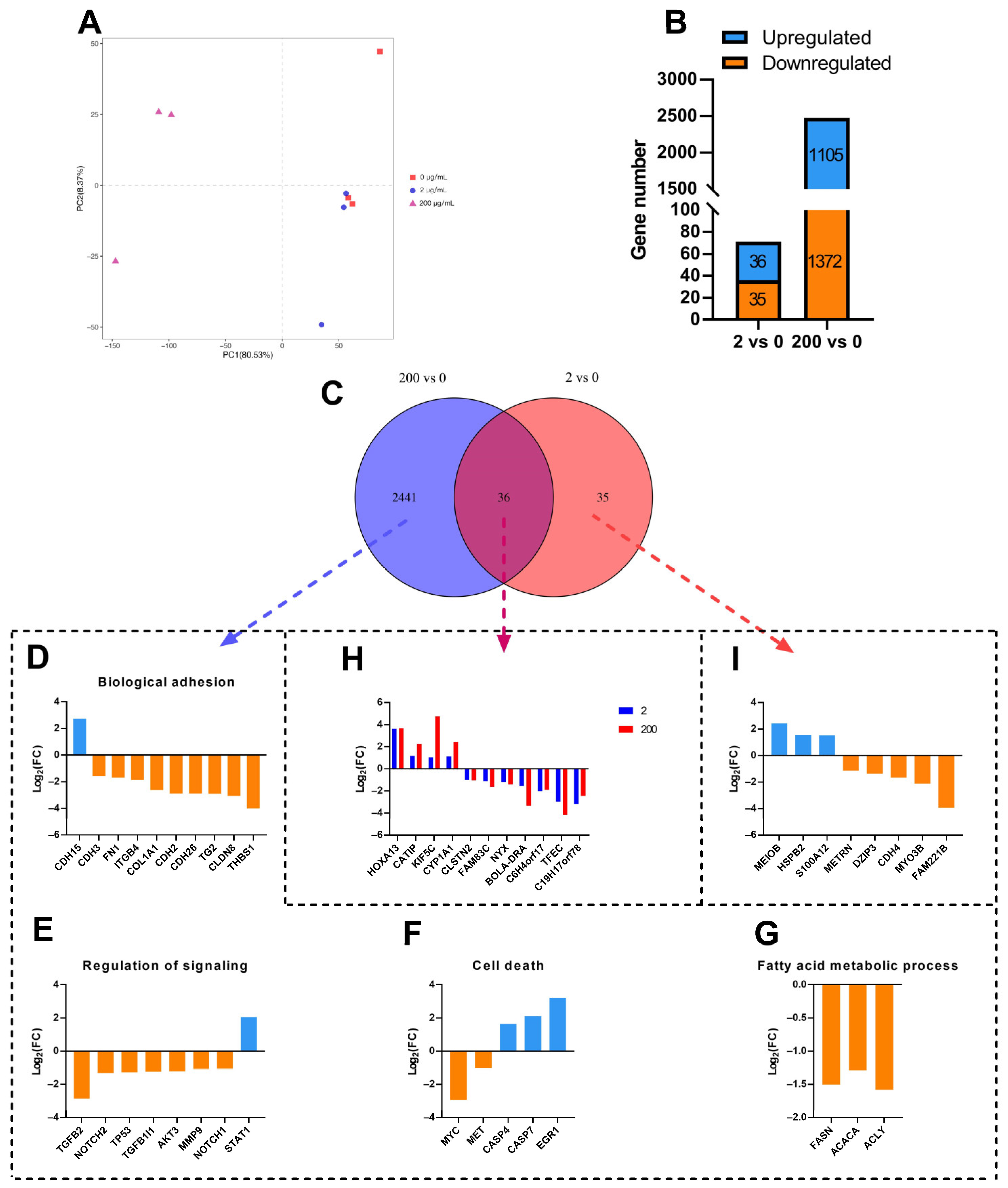 Ijms 24 11388 g004 Ijms 24 11388 g004