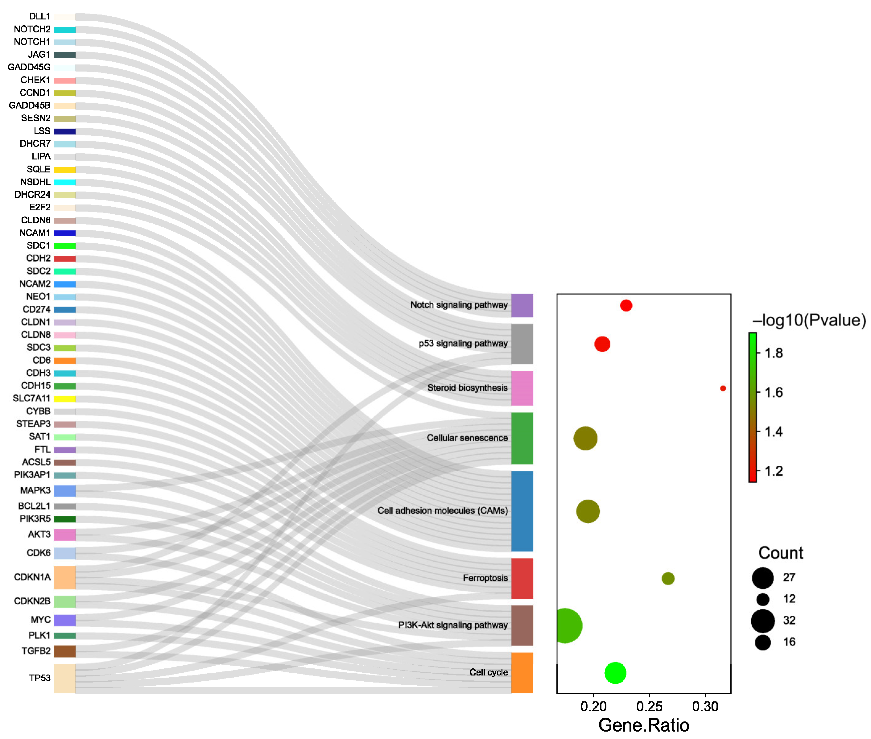 Ijms 24 11388 g005 Ijms 24 11388 g005