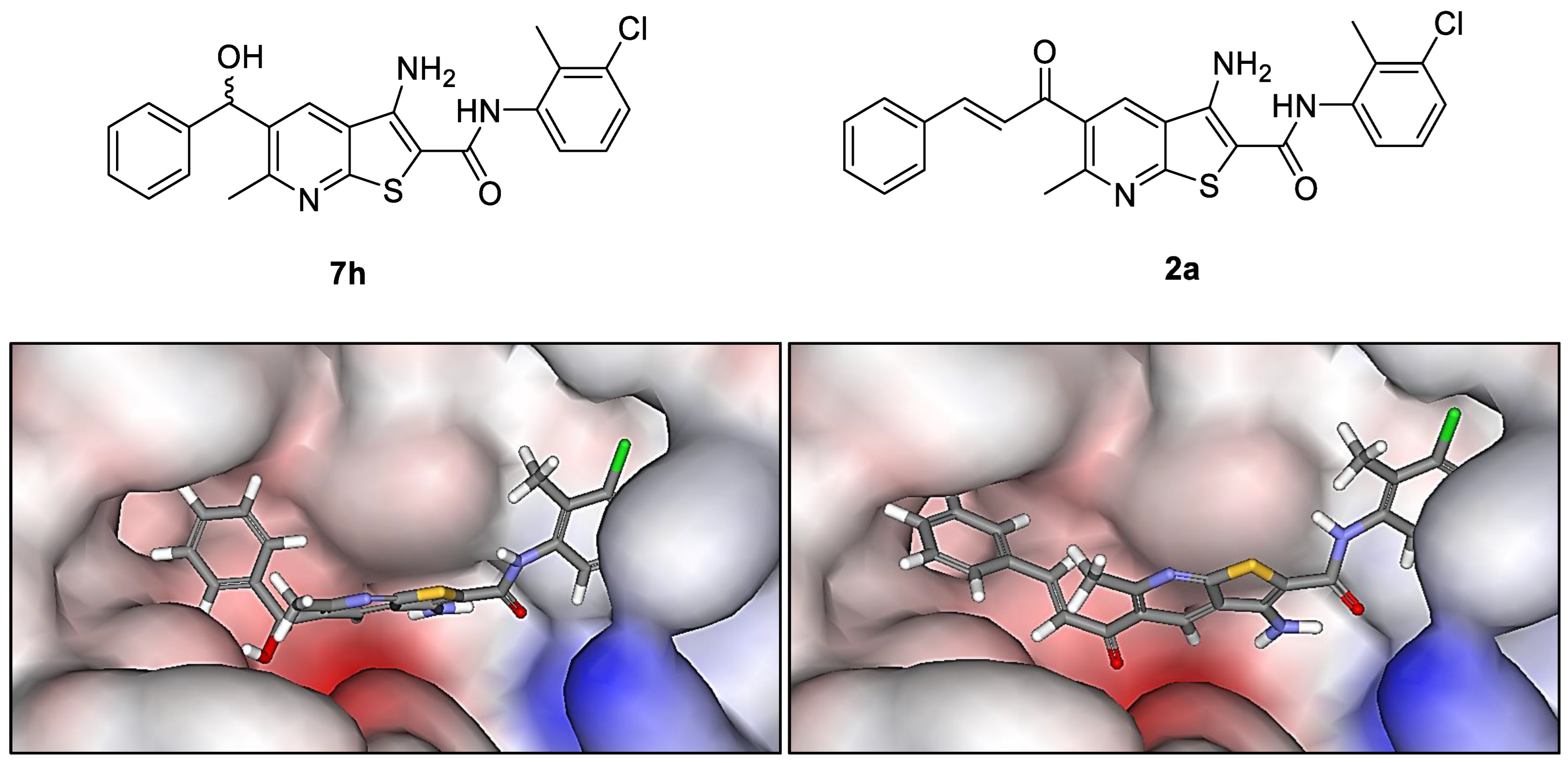 Ijms 24 11407 g003a Ijms 24 11407 g003a