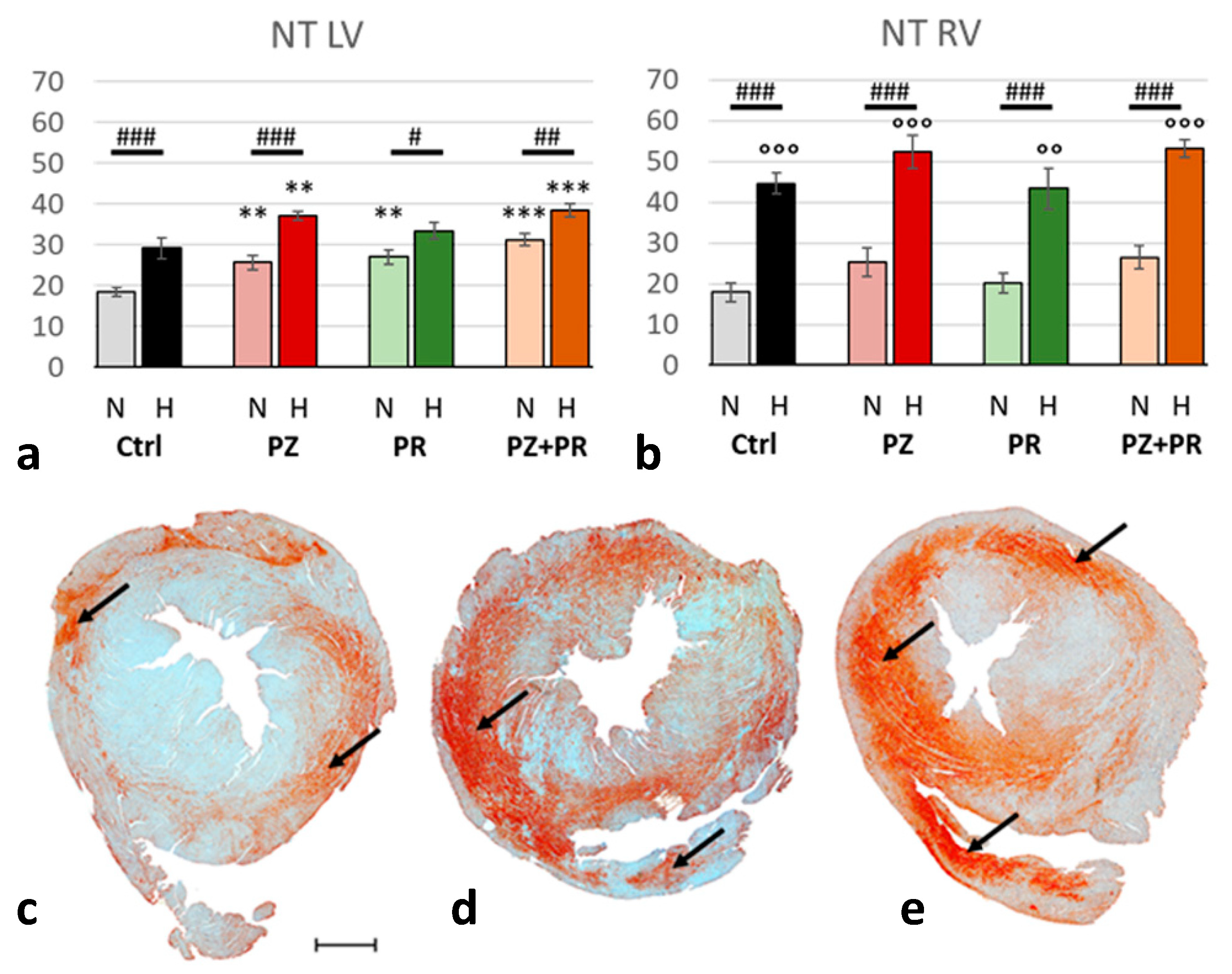Ijms 24 11417 g003 Ijms 24 11417 g003