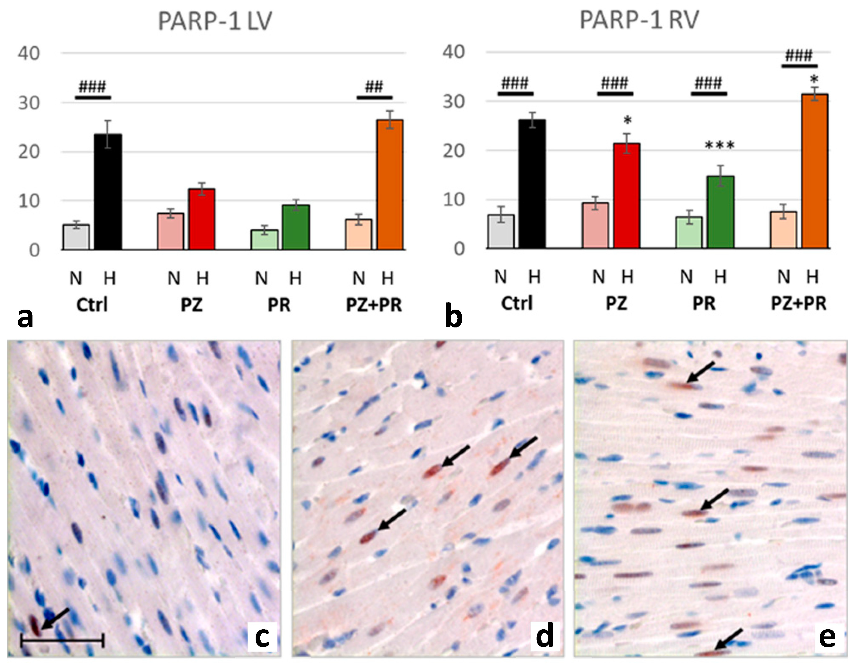 Ijms 24 11417 g004 Ijms 24 11417 g004