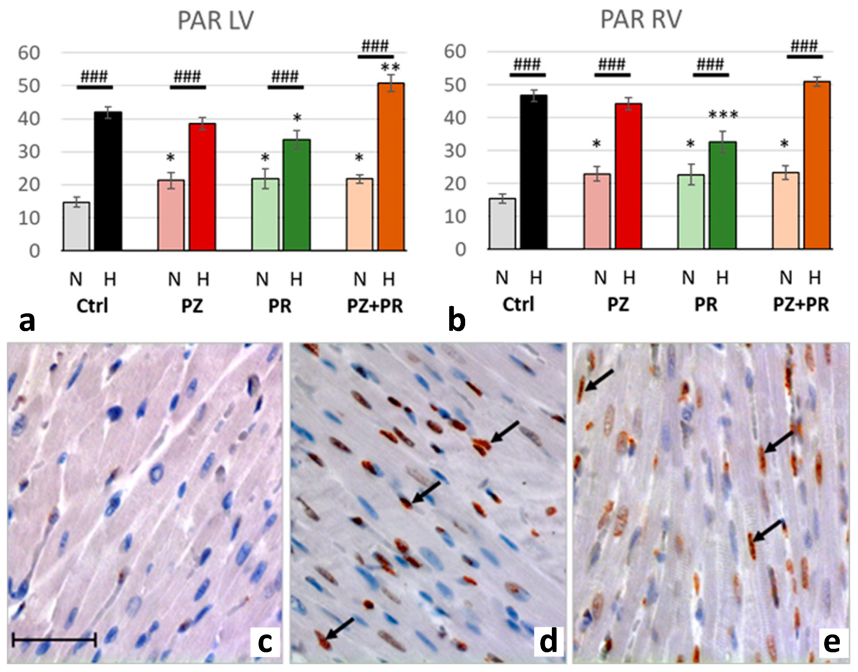 Ijms 24 11417 g005 Ijms 24 11417 g005