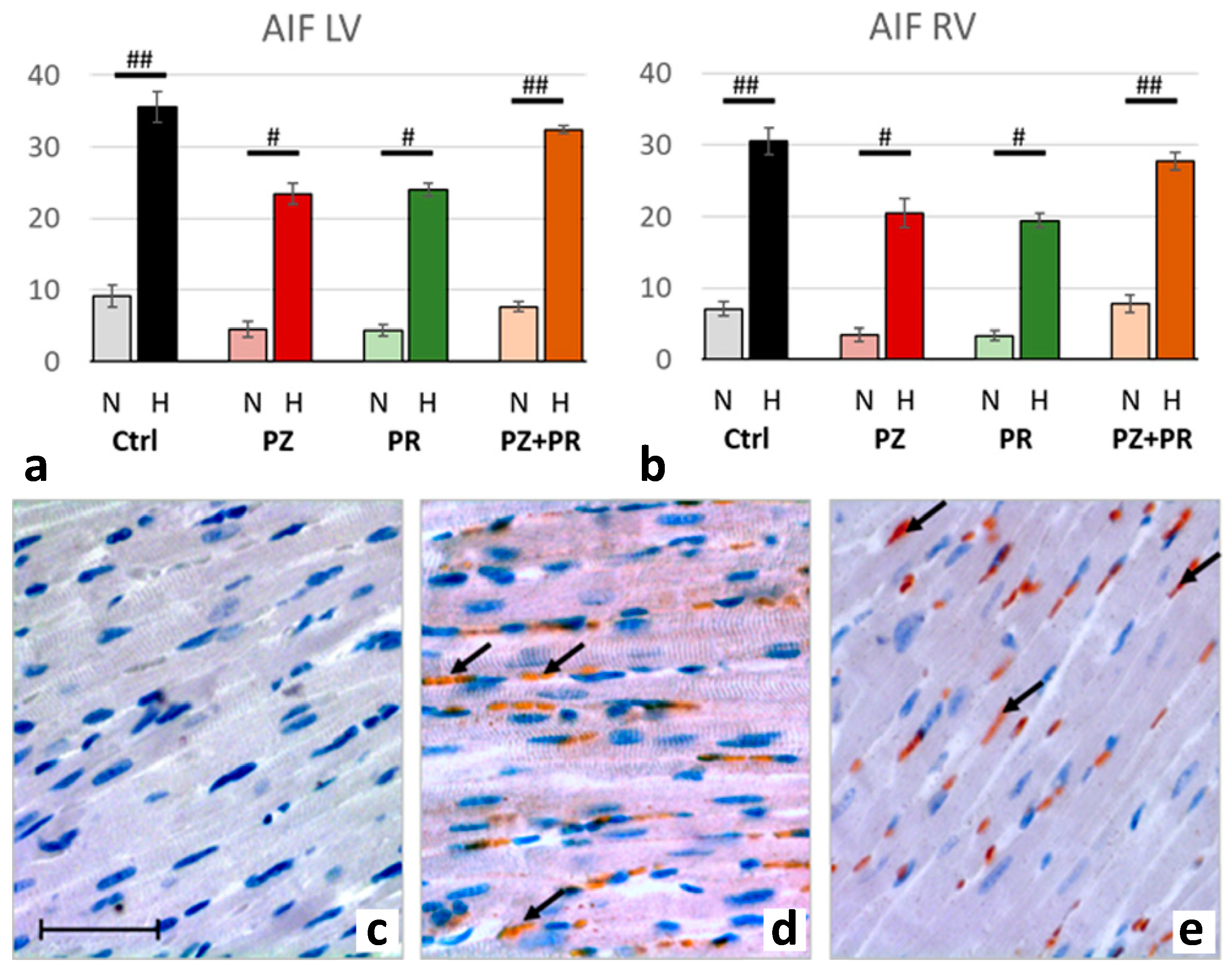 Ijms 24 11417 g006 Ijms 24 11417 g006