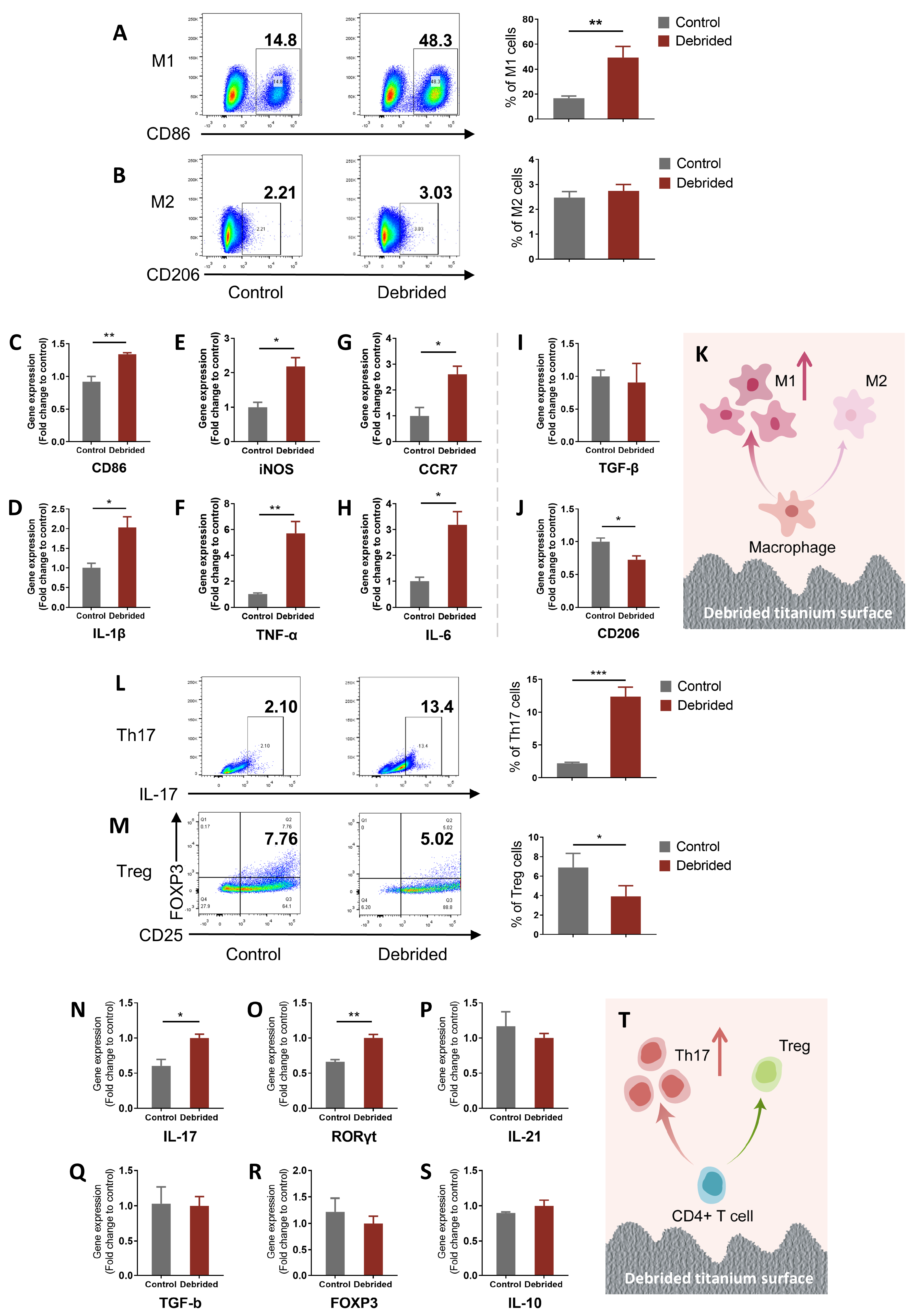 Ijms 24 11431 g002 Ijms 24 11431 g002