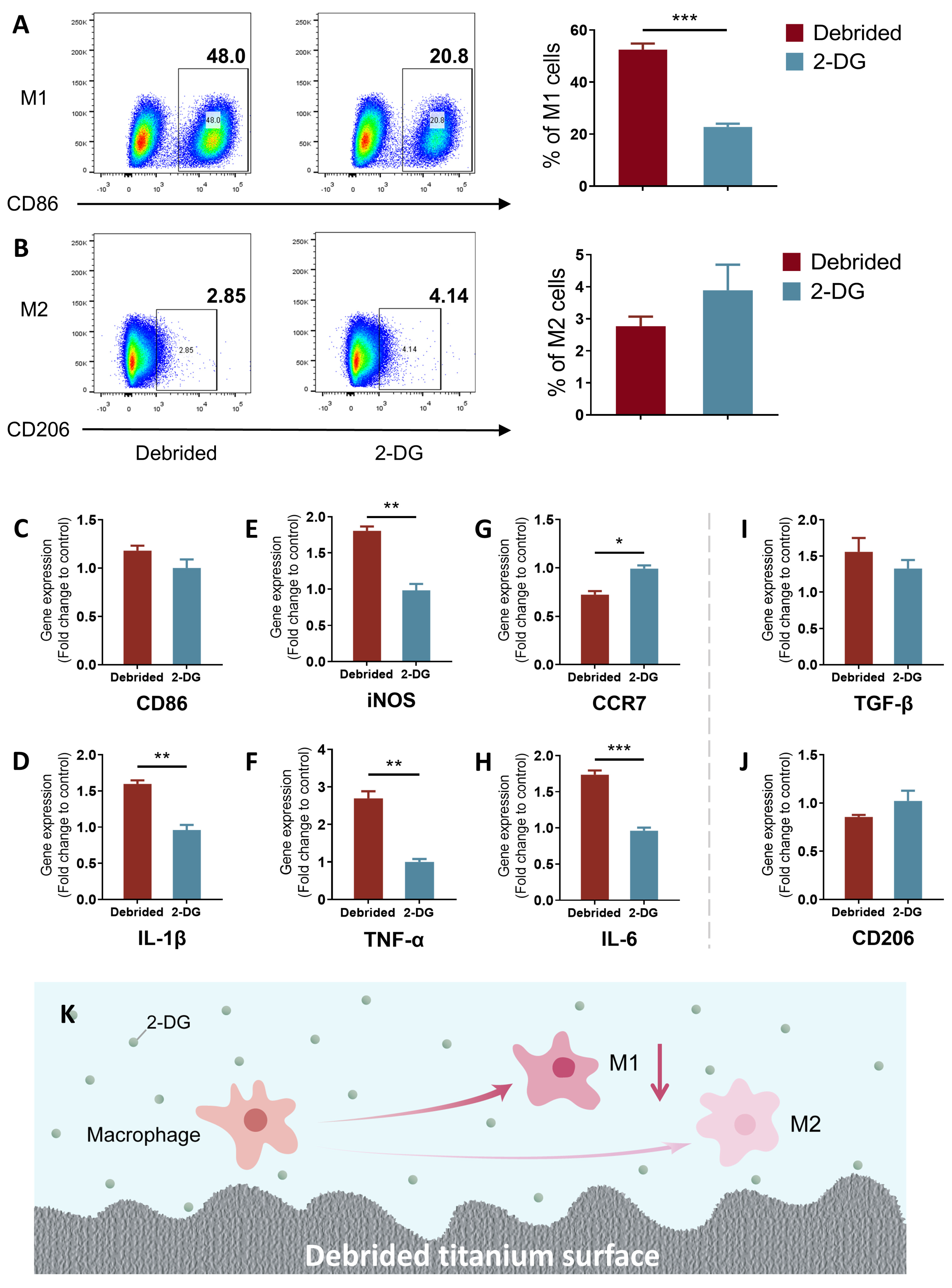 Ijms 24 11431 g003 Ijms 24 11431 g003