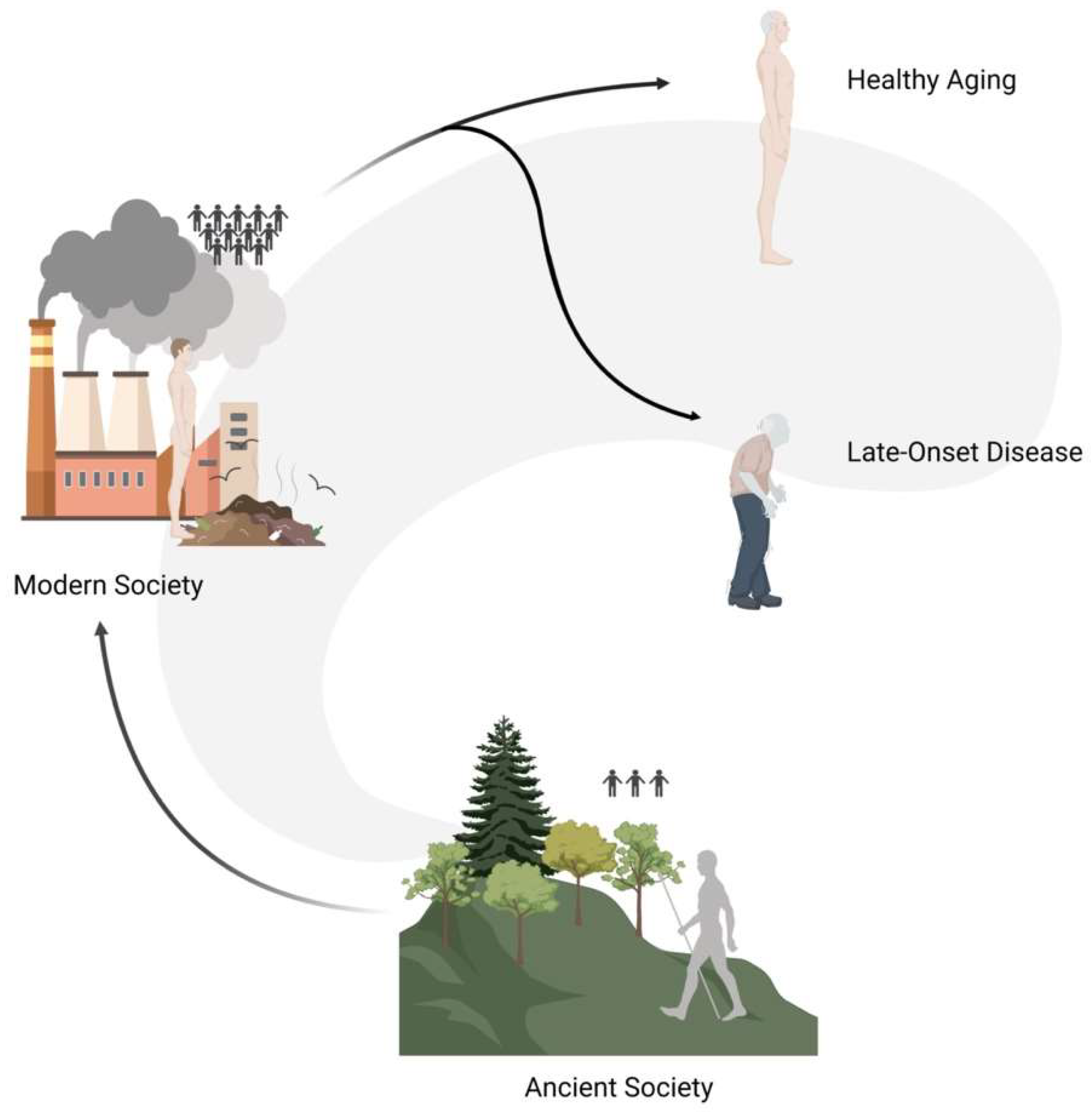 Ijms 24 11437 g006 Ijms 24 11437 g006