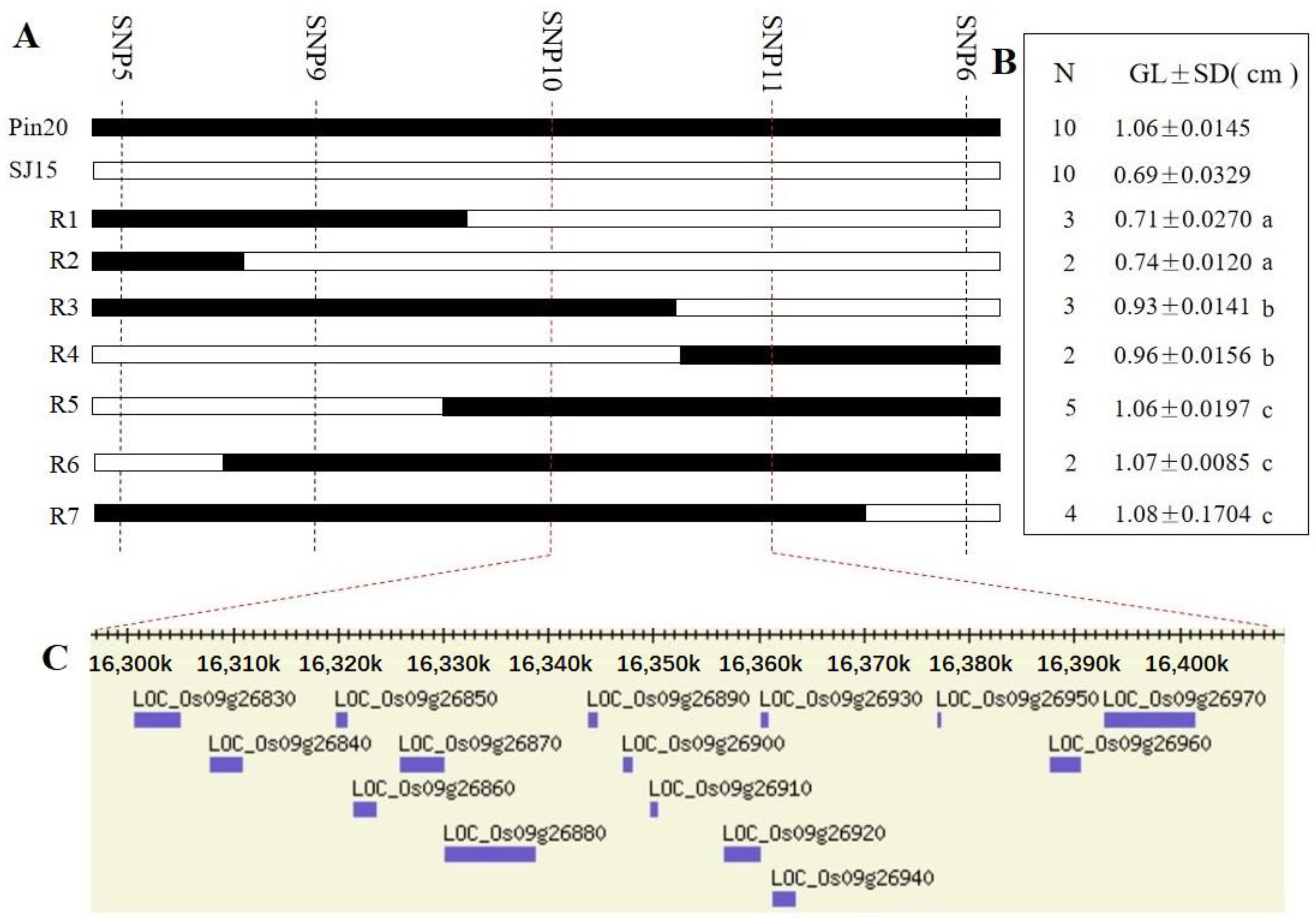Ijms 24 11447 g006 Ijms 24 11447 g006