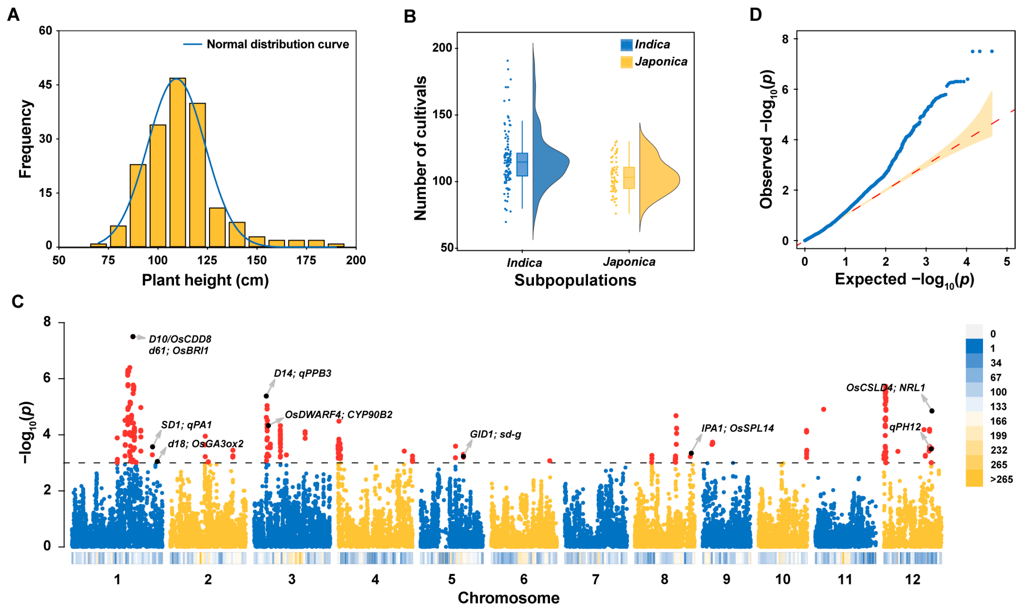 Ijms 24 11454 g001 Ijms 24 11454 g001