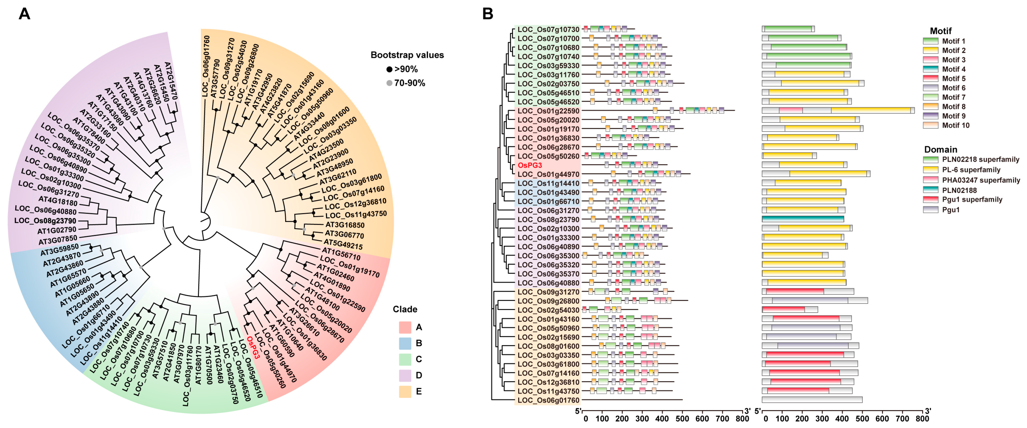 Ijms 24 11454 g003 Ijms 24 11454 g003