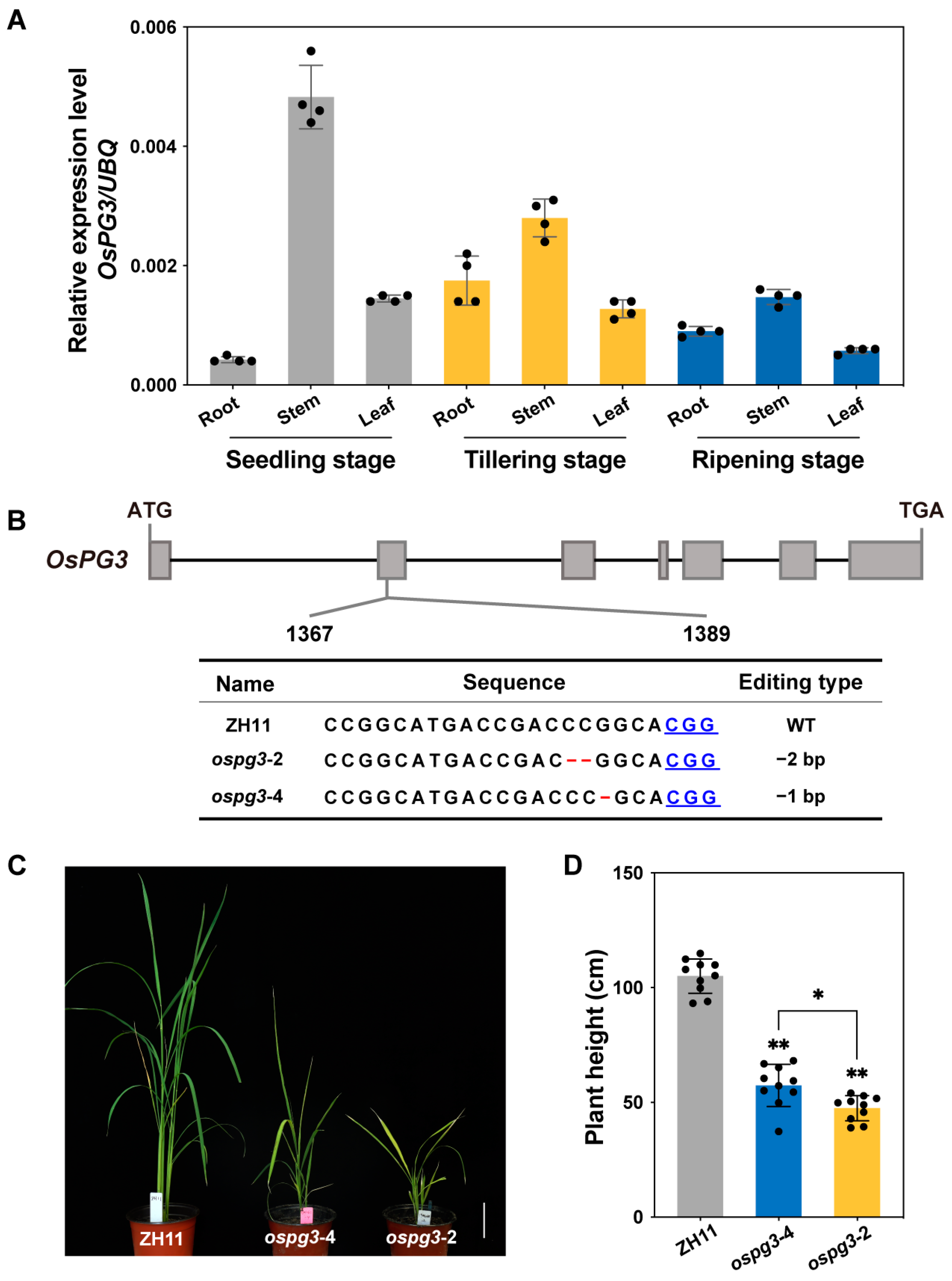 Ijms 24 11454 g004 Ijms 24 11454 g004