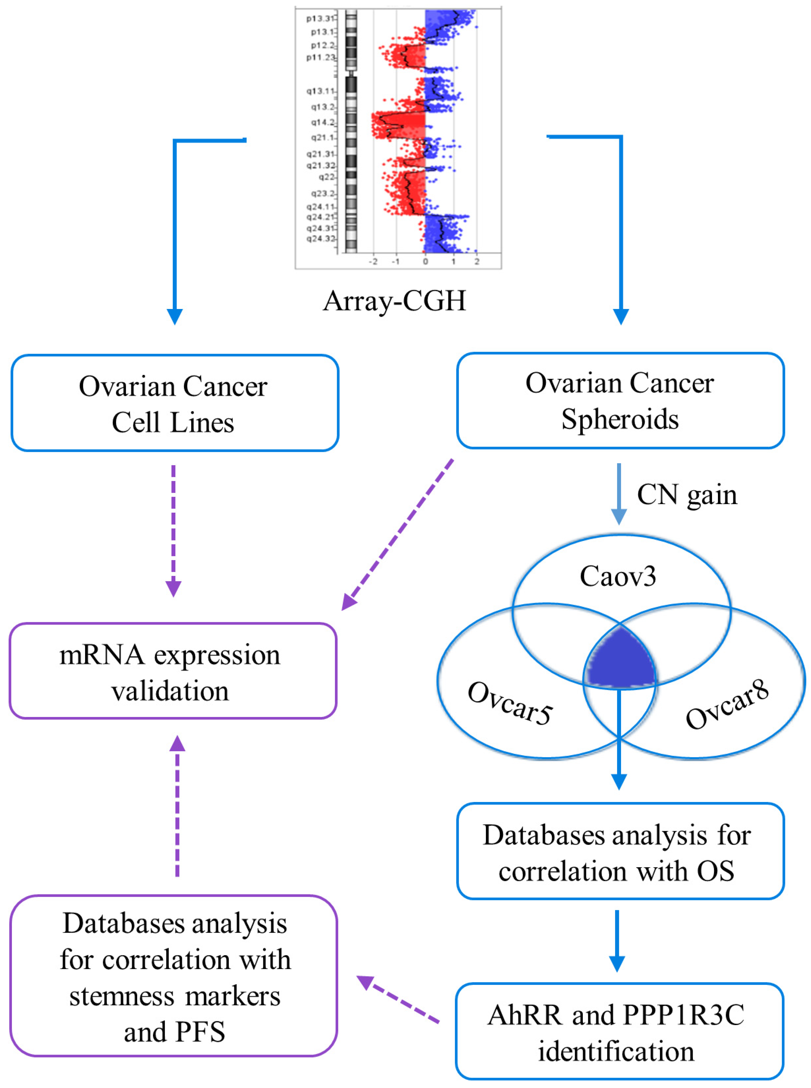 Ijms 24 11455 g001 Ijms 24 11455 g001