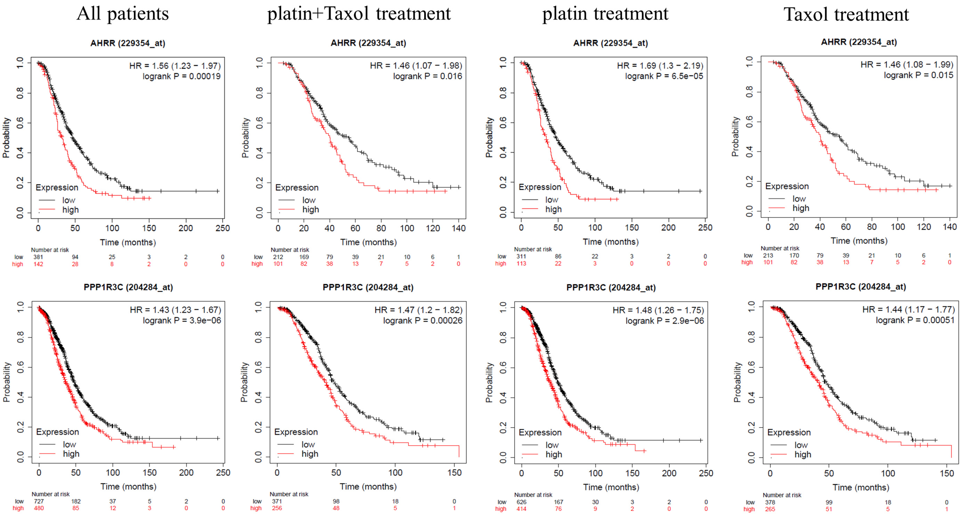 Ijms 24 11455 g004 Ijms 24 11455 g004