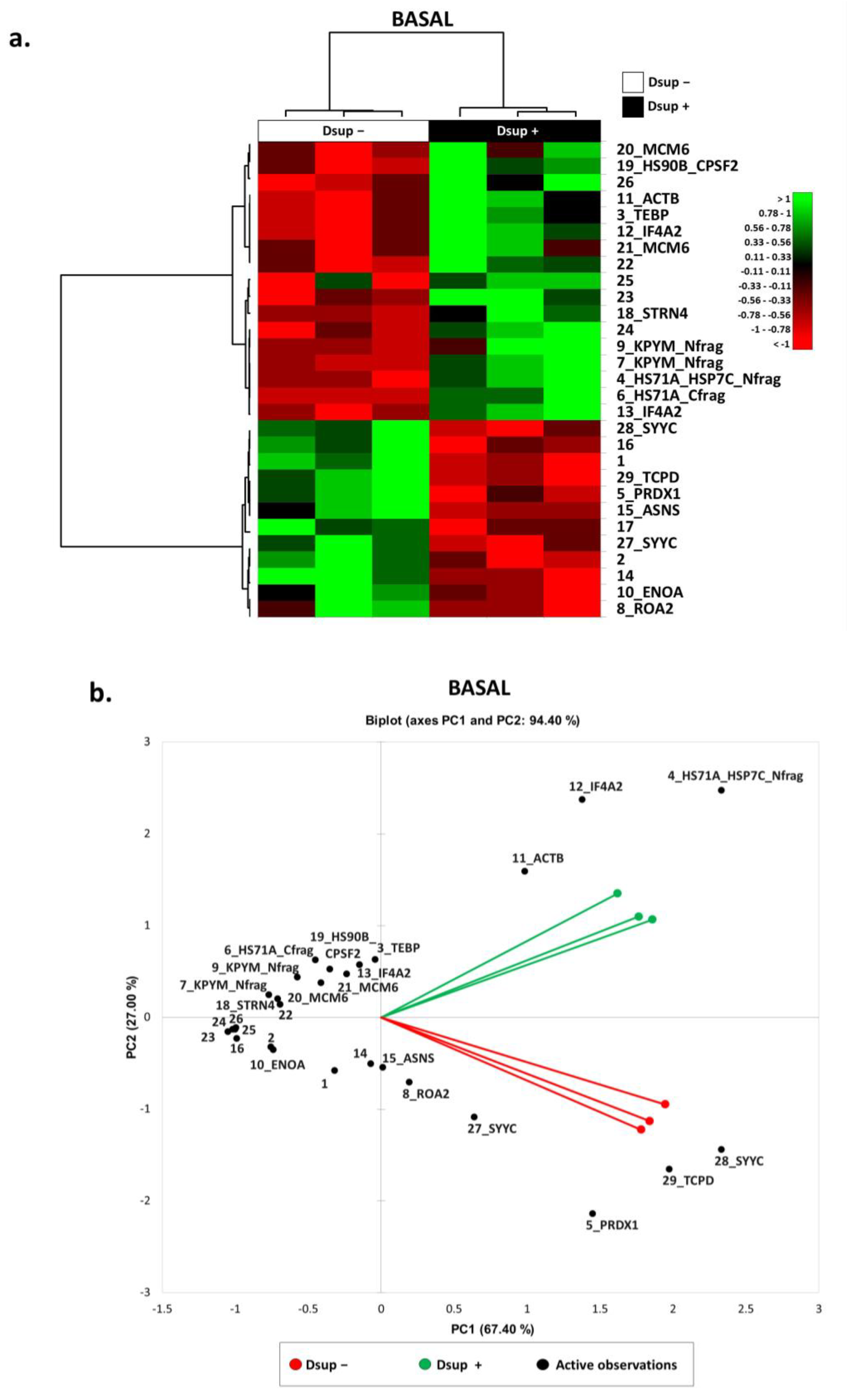 Ijms 24 11463 g001 Ijms 24 11463 g001
