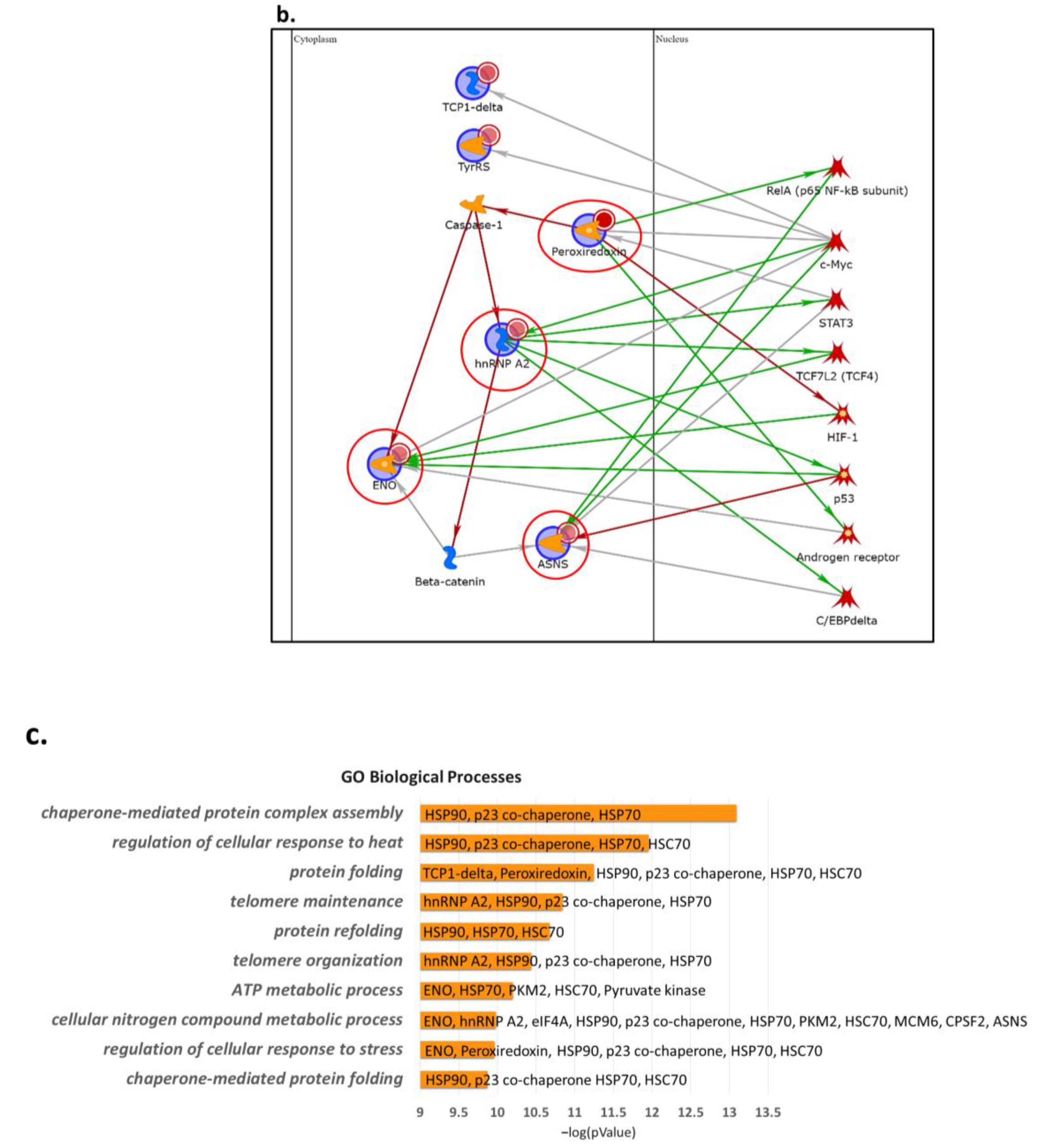 Ijms 24 11463 g002b Ijms 24 11463 g002b