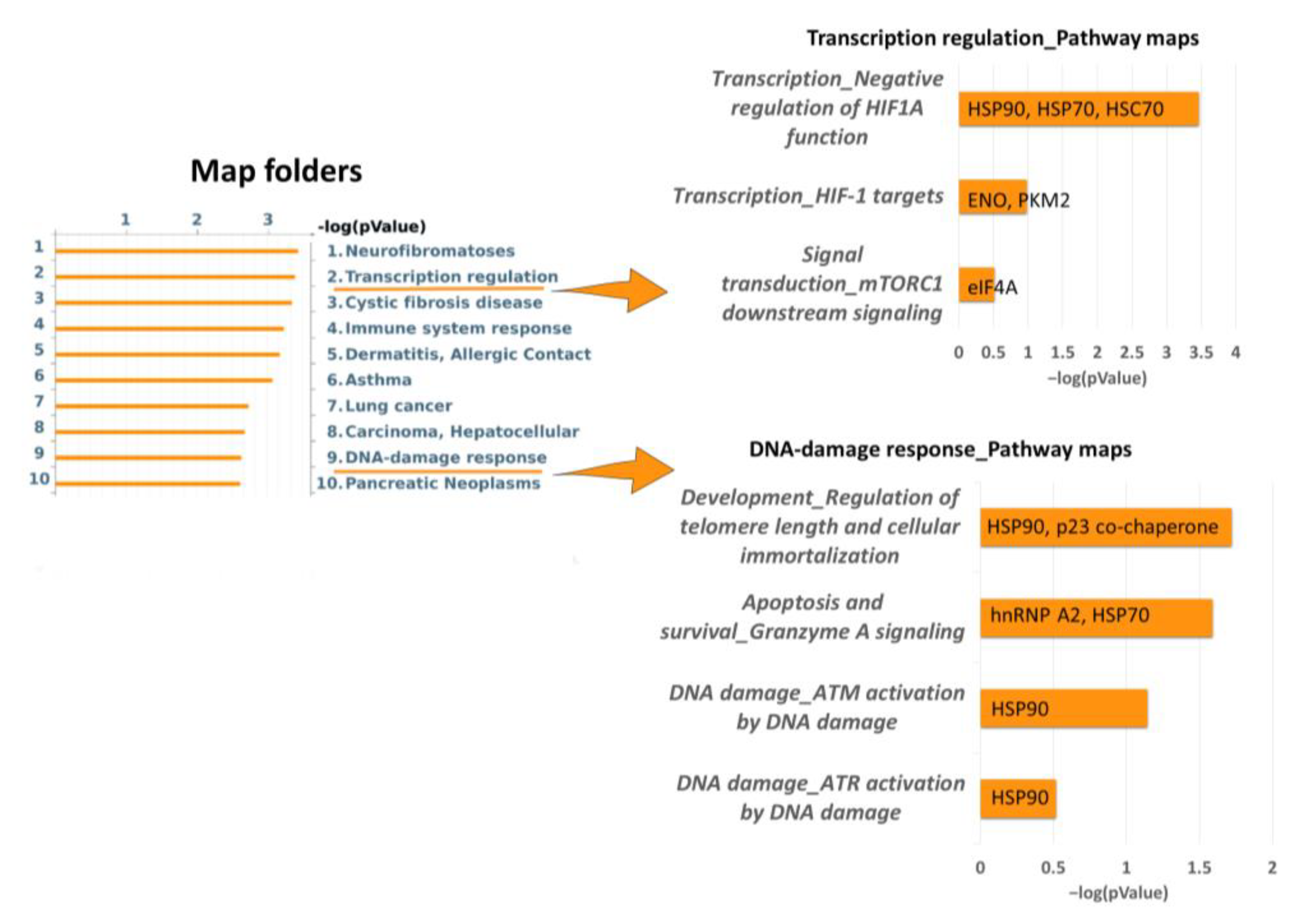 Ijms 24 11463 g003 Ijms 24 11463 g003