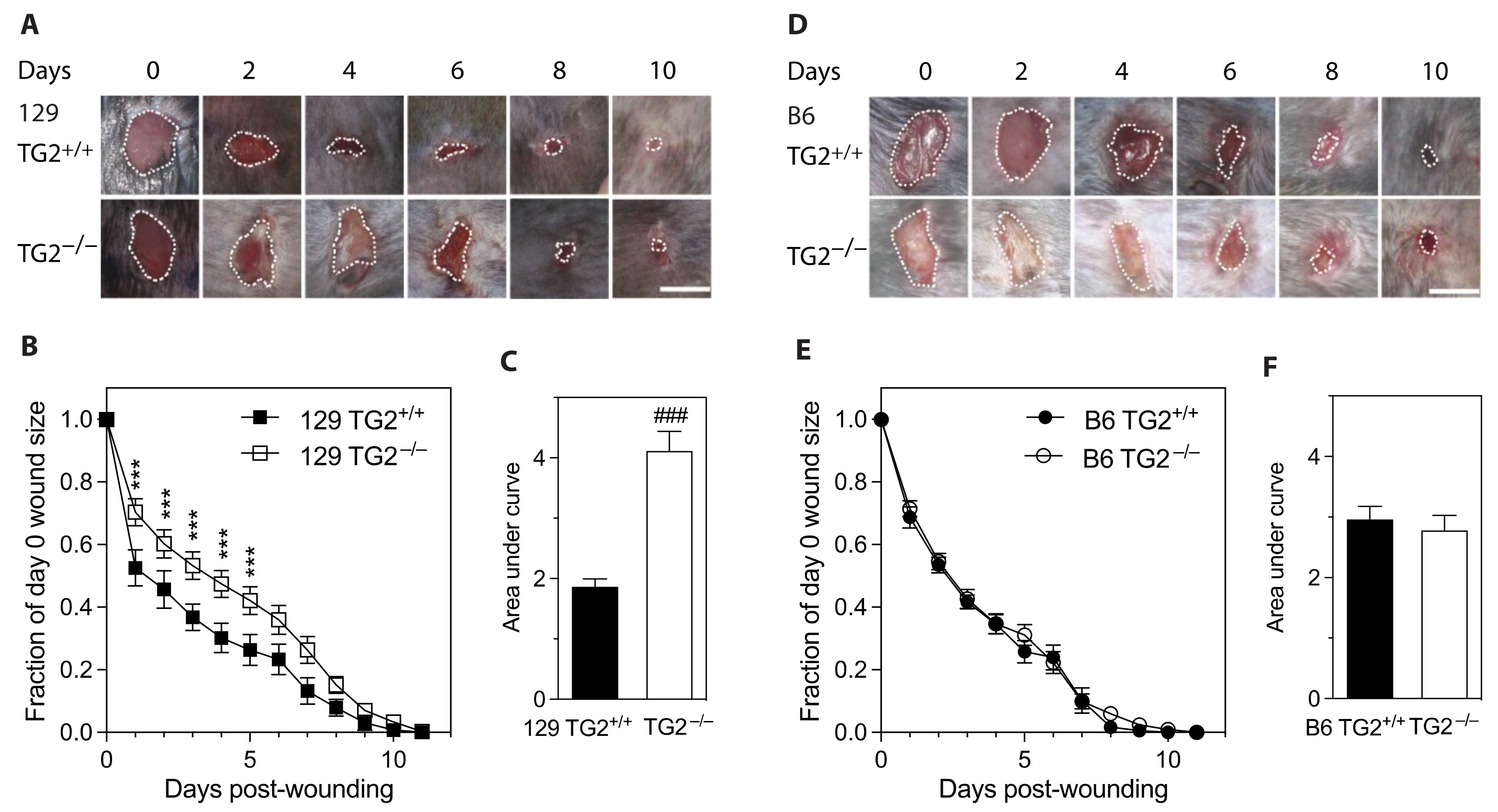 Ijms 24 11475 g001 Ijms 24 11475 g001